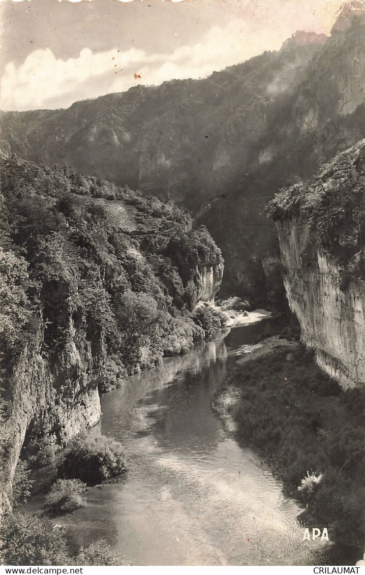 48-GORGES DU TARN-N°T5285-G/0347 - Gorges Du Tarn