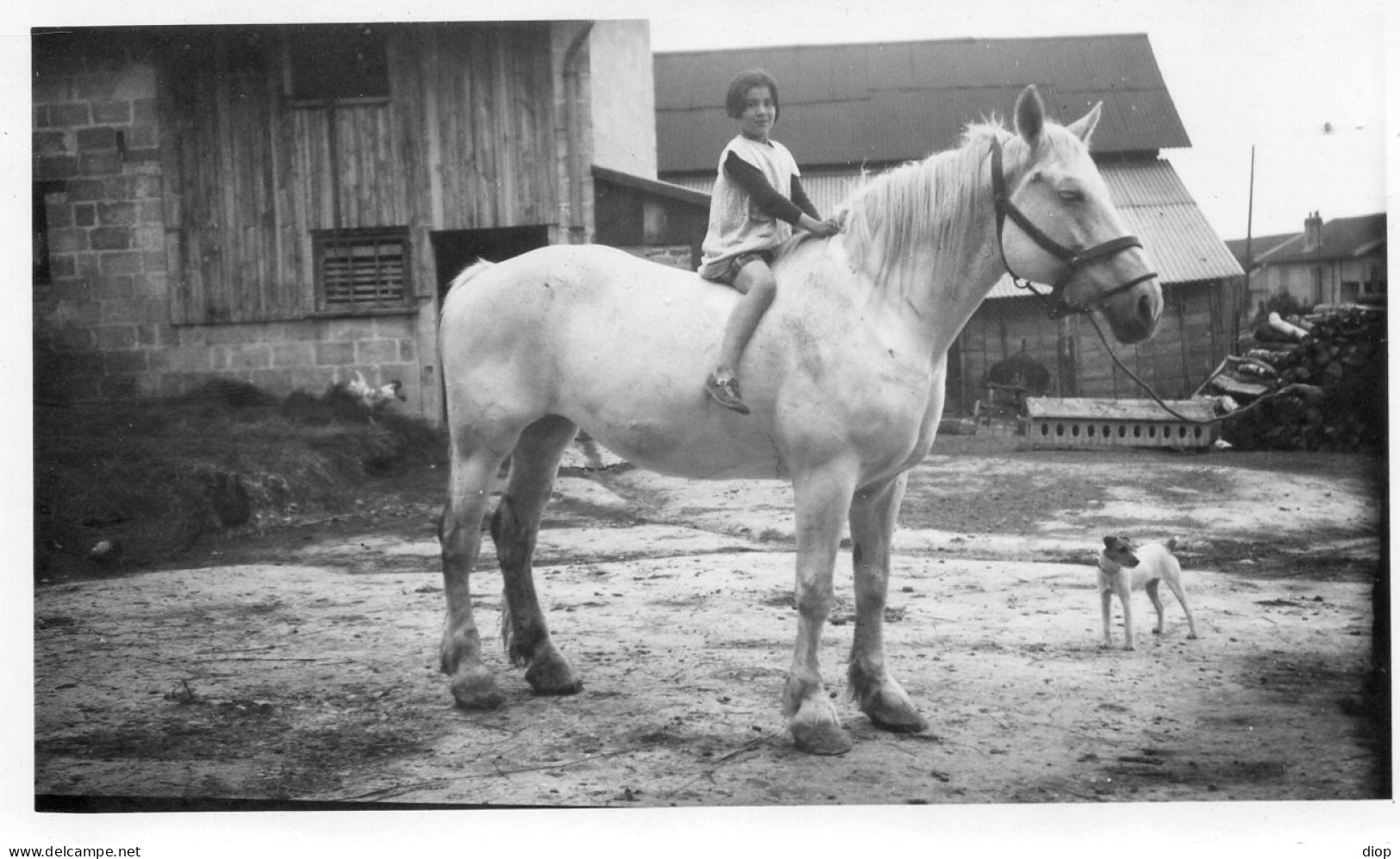 Photo Vintage Paris Snap Shop - Cheval Horse Enfant Child - Autres & Non Classés