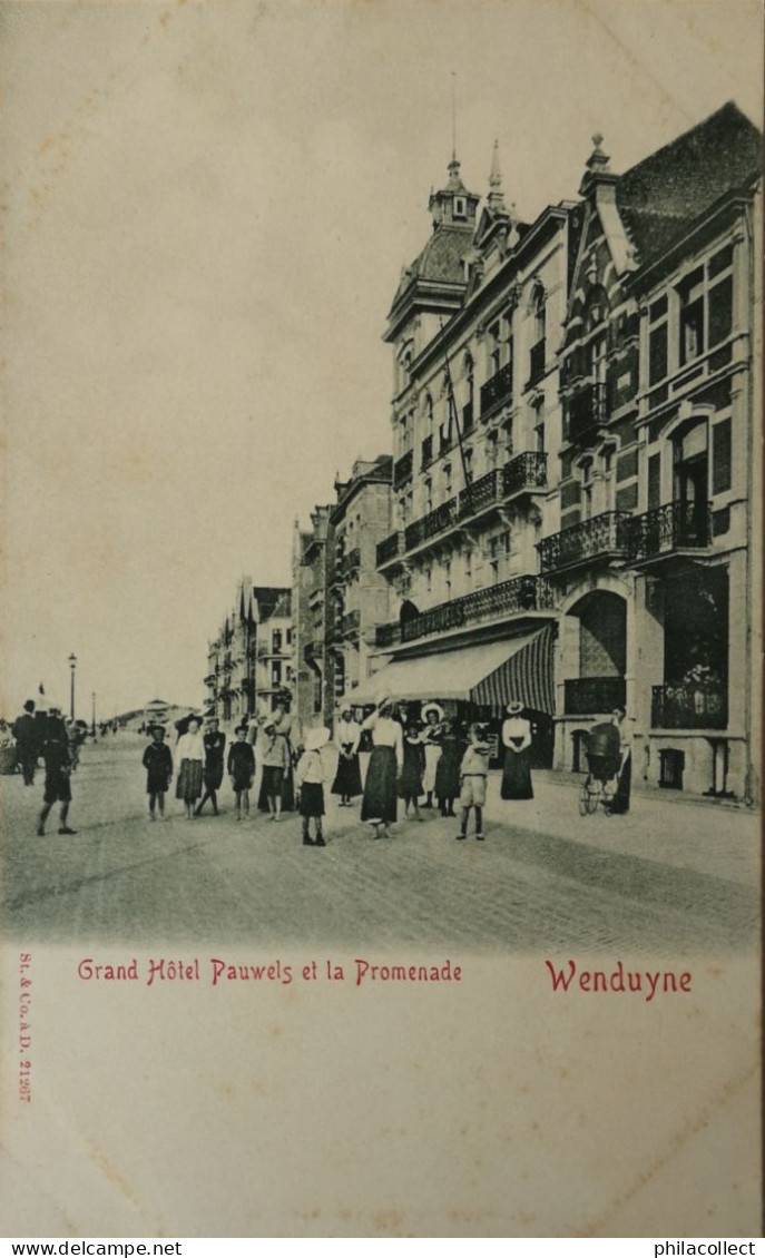 Wenduine - Wenduyne // Grand Hotel Pauwels Et La Promenade (niet Standaard Zicht) Ca 1900 - Wenduine