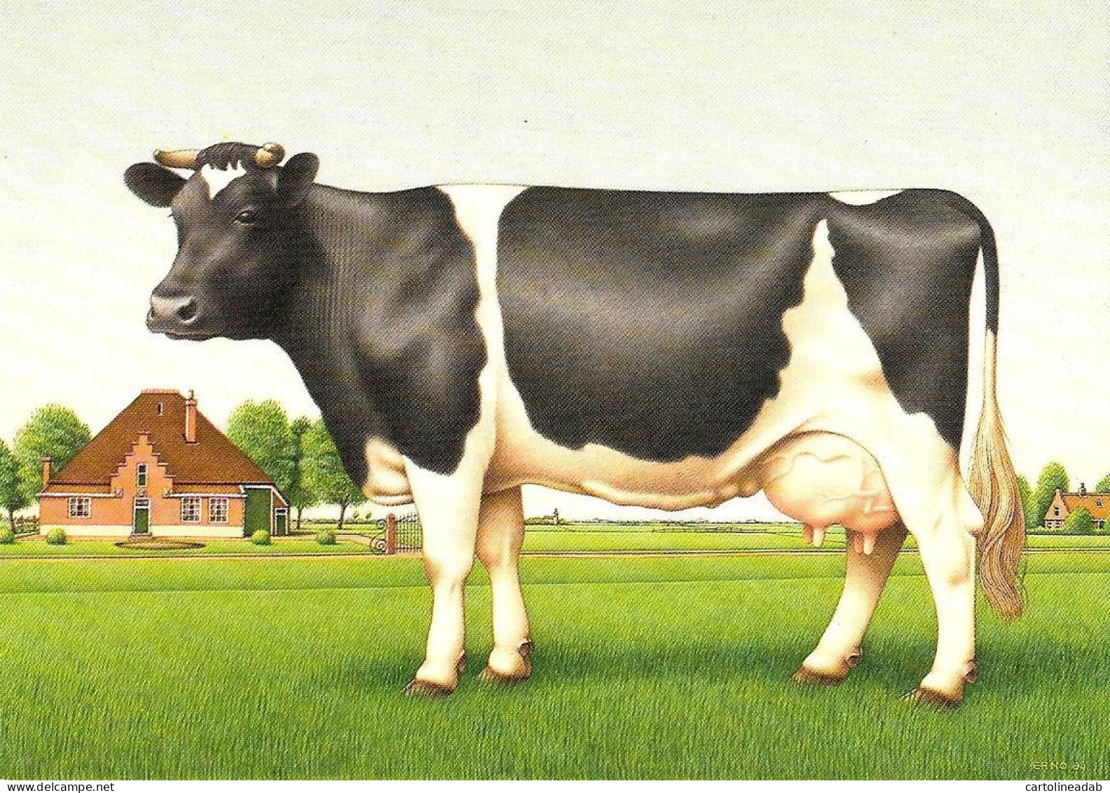 [MD9727] CPM - MUCCA - ERNO TROMP 1984 - PERFETTA - Non Viaggiata - Cows