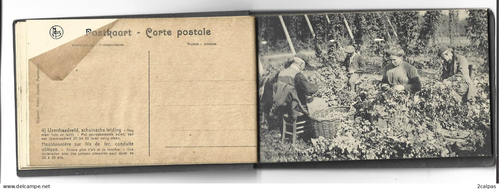 poperinghe (Poperinge) - Belgique - rare carnet complet 12 cartes - La culture du Houblon - Fabrication de la Bière