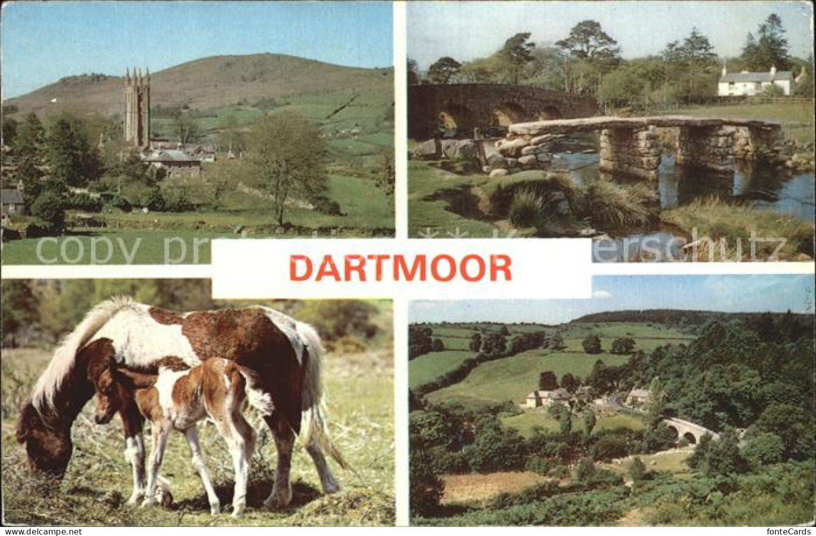 72446628 Dartmoor Pony Bruecke   - Andere & Zonder Classificatie