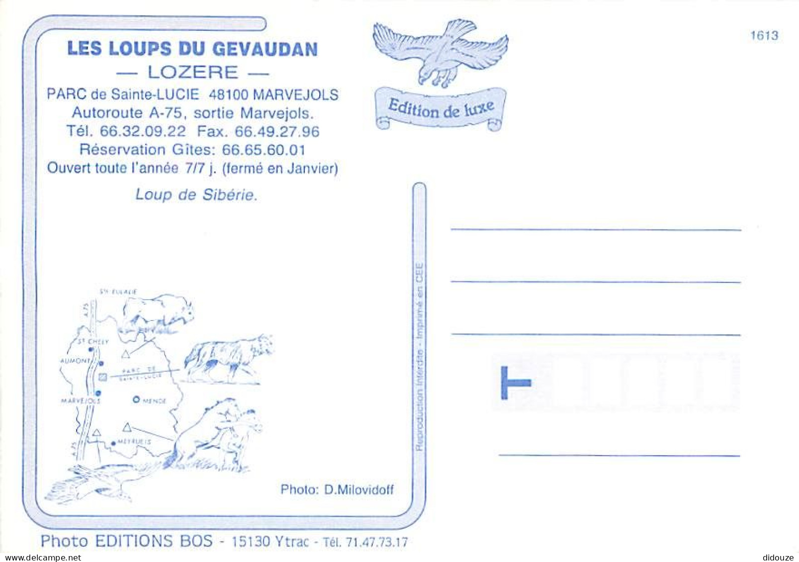 Animaux - Loups - Les Loups Du Gévaudan - Parc De Sainte Lucie à Marvejols - Zoo - Wolf - Lobo - CPM - Carte Neuve - Voi - Otros & Sin Clasificación