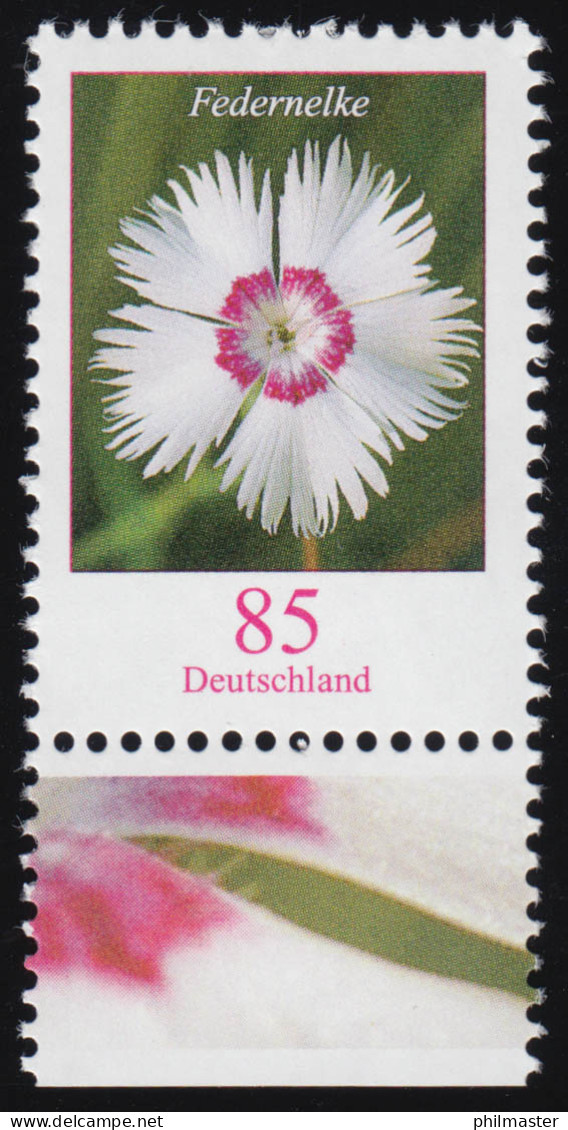 3116 Blume Federnelke 85 Cent Aus Bogen, Postfrisch ** - Unused Stamps