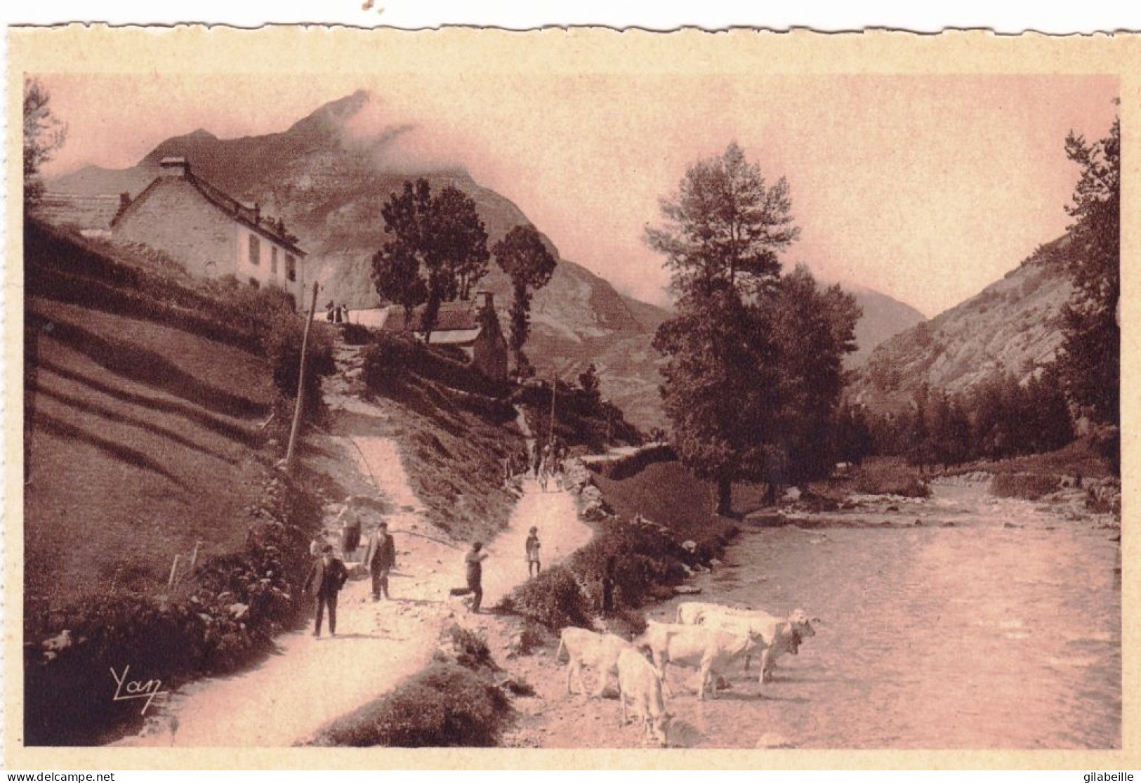 65 - Hautes Pyrenees -  GAVARNIE - Le Pic De Secugnac - Les Vaches Se Desalterent Dans Le Gave - Gavarnie