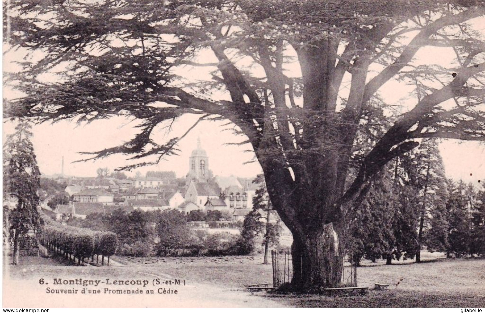 77 - Seine Et Marne - MONTIGNY LENCOUP - Souvenir D Une Promenade Au Cedre - Andere & Zonder Classificatie