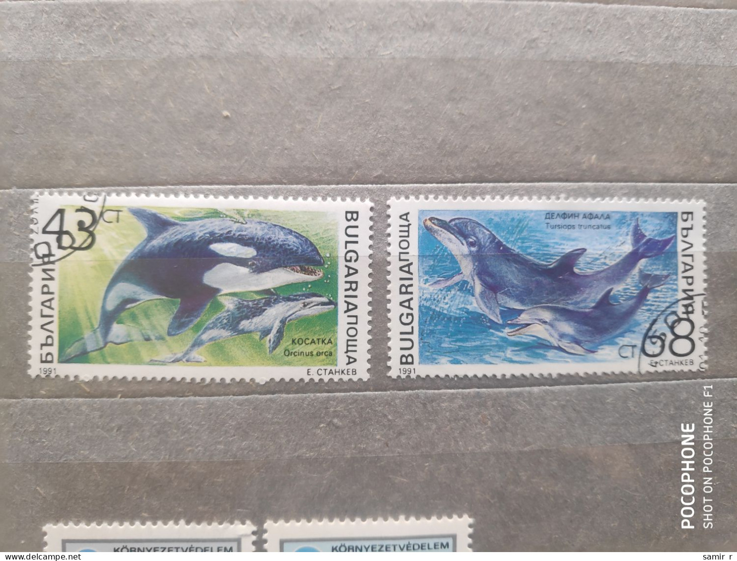 1991	Bulgaria	Fishes (F97) - Gebruikt