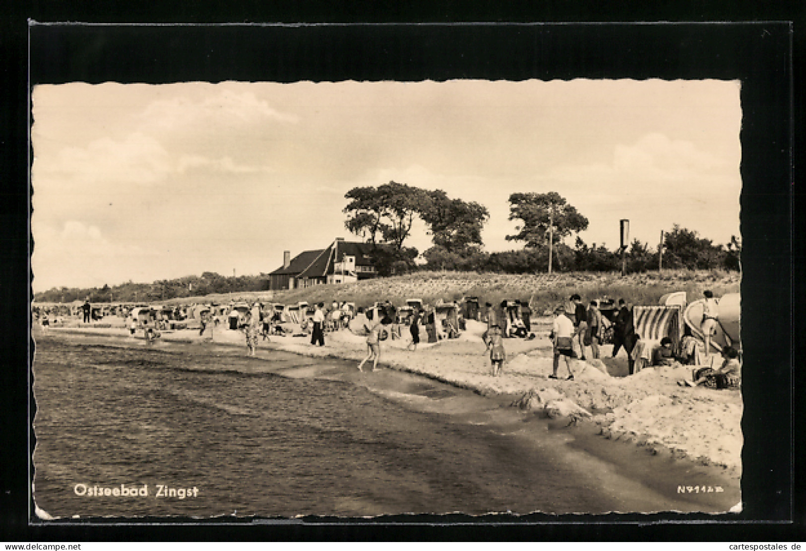 AK Zingst / Ostseebad, Strand Mit Badegästen  - Zingst