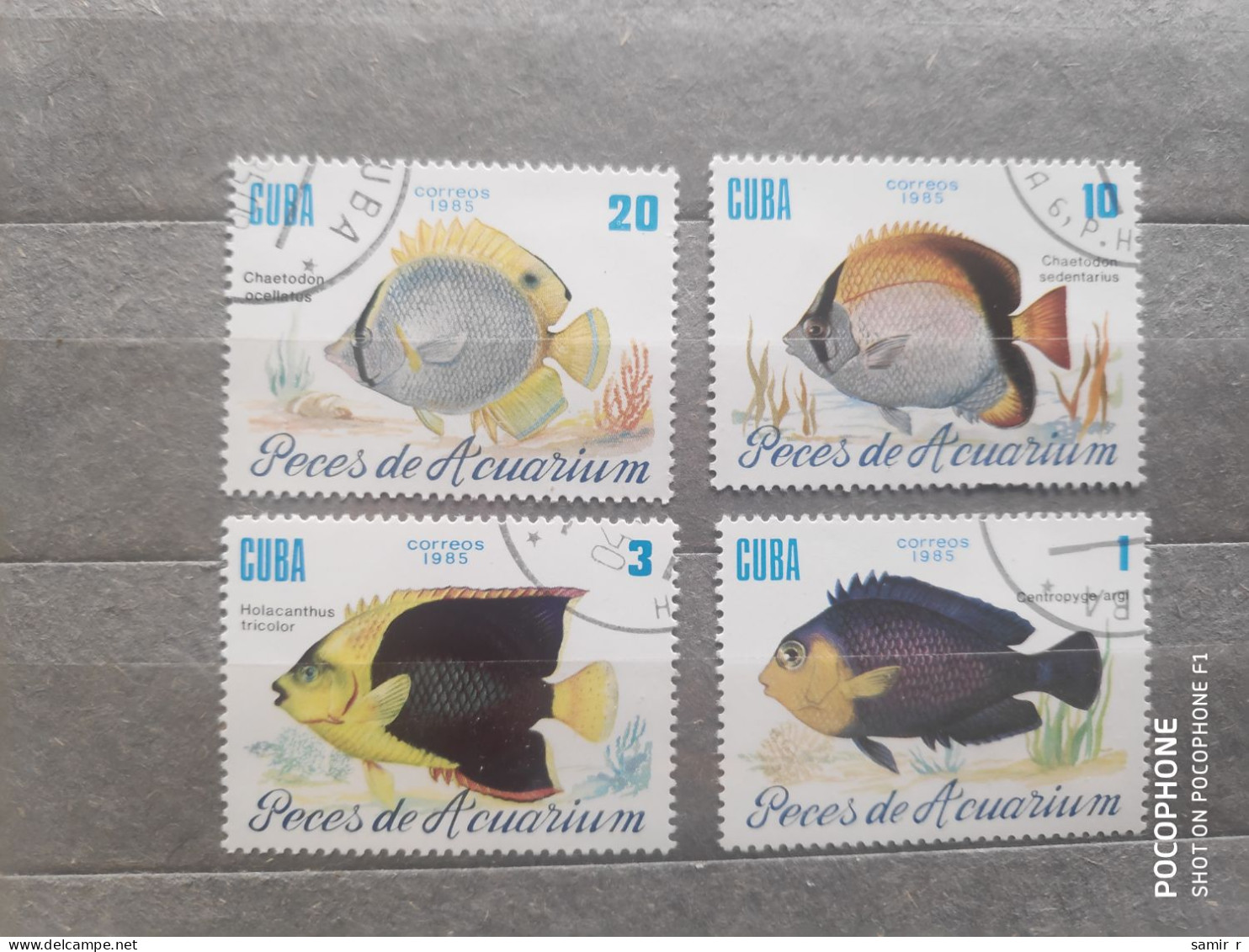 1985	Cuba	Fishes (F97) - Gebraucht