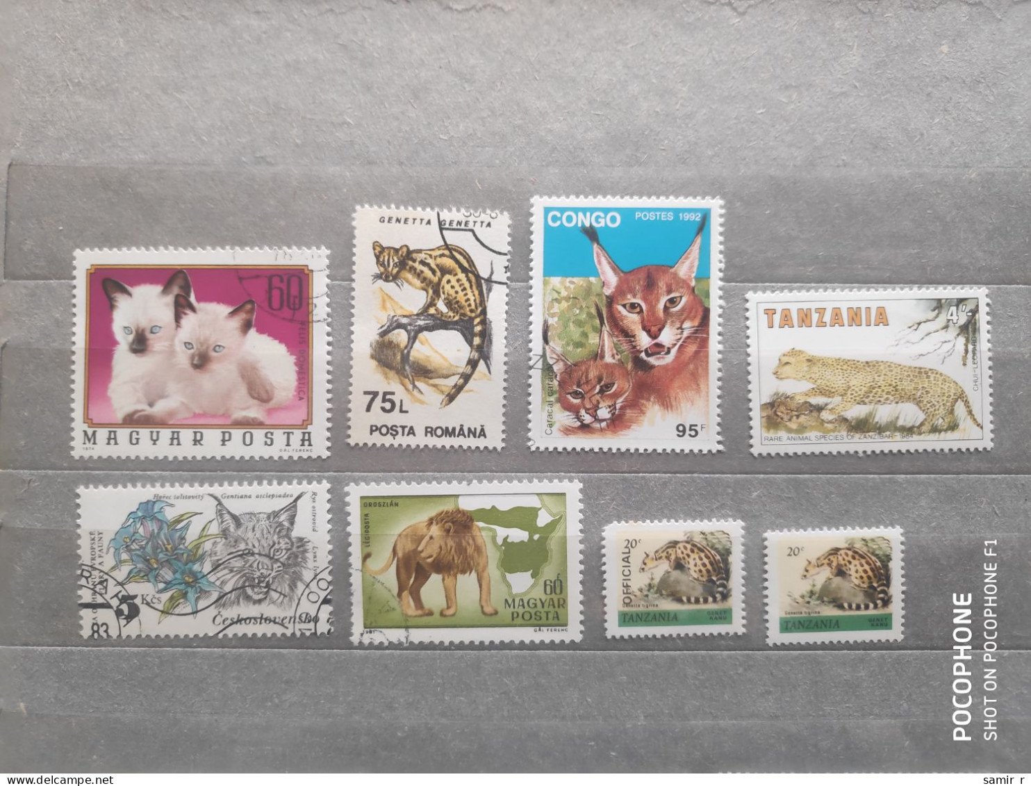 Different Countries	Cats (F97) - Collections (sans Albums)