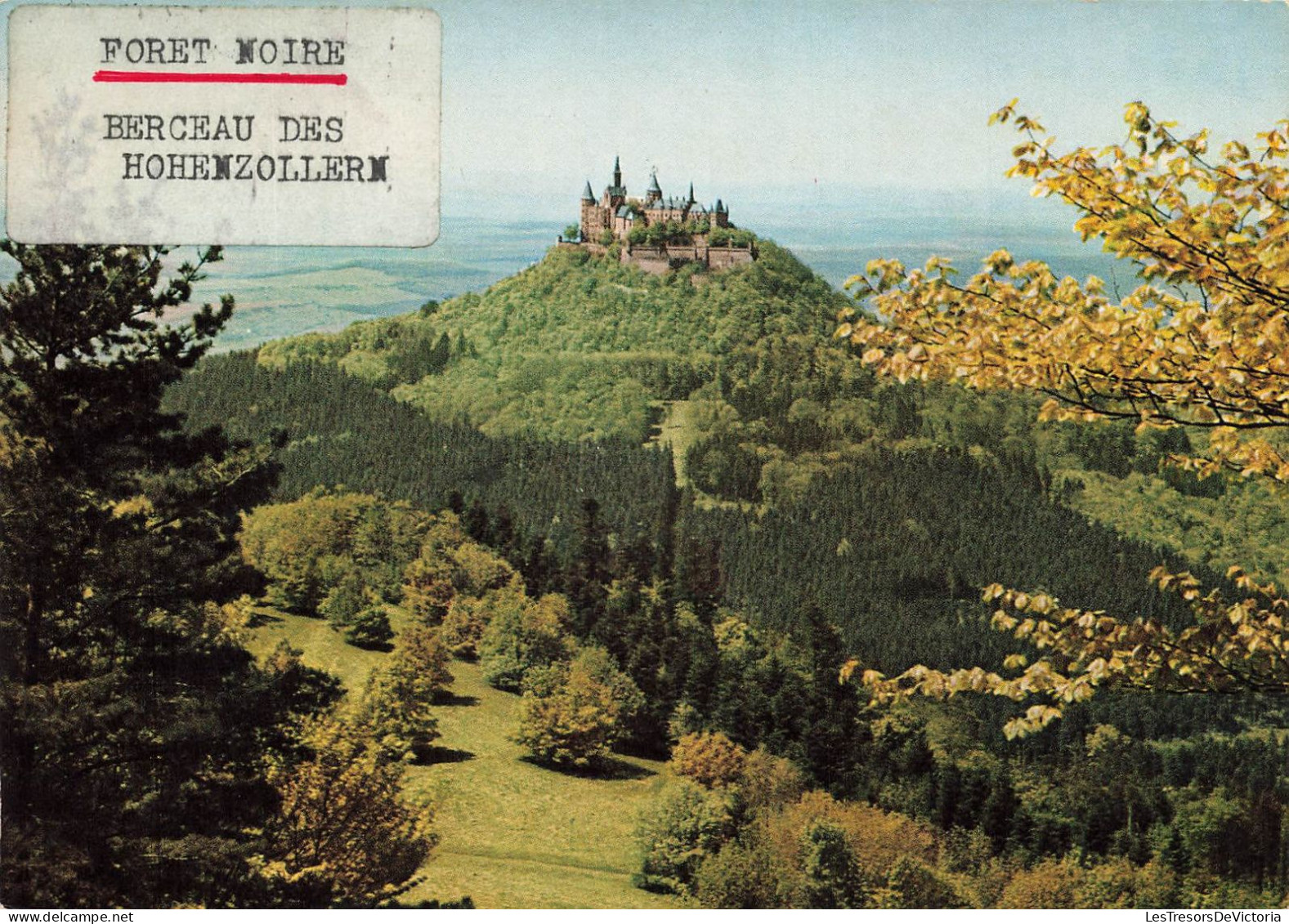 ALLEMAGNE - Foret Noire - Berceau Des Hehonzollern - Vue Sur Une Forêt - Burg Hohenzollern 855 M - Carte Postale - Tuebingen