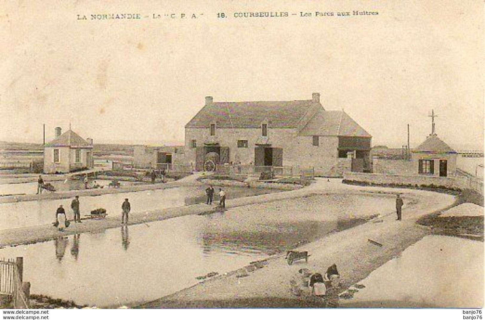 Courseulles Sur Mer (14)  - Les Parcs à / Aux Huitres - La CPA -  Animée - Courseulles-sur-Mer