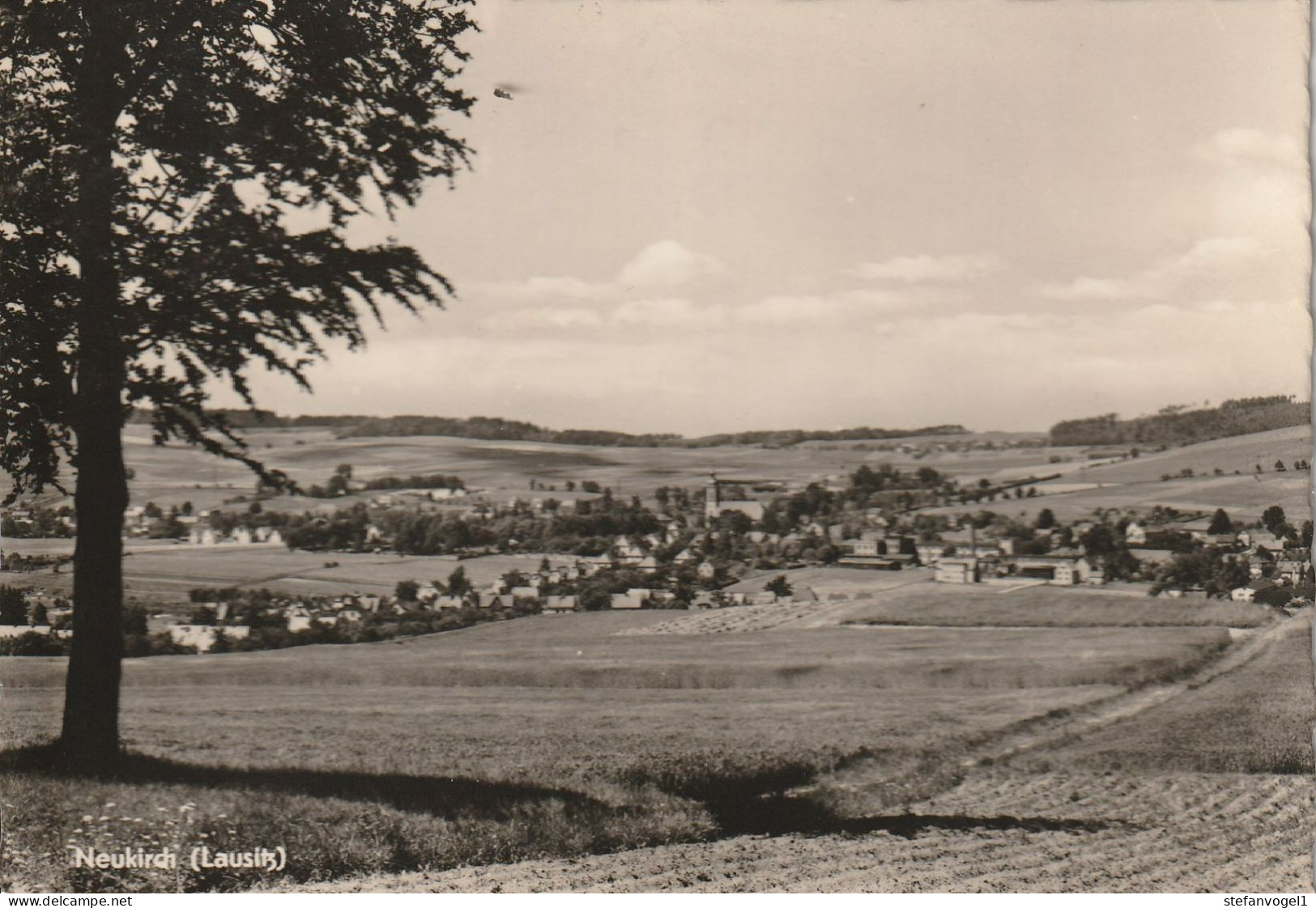 Neukirch/L.  1960  Fernblick - Neukirch (Lausitz)