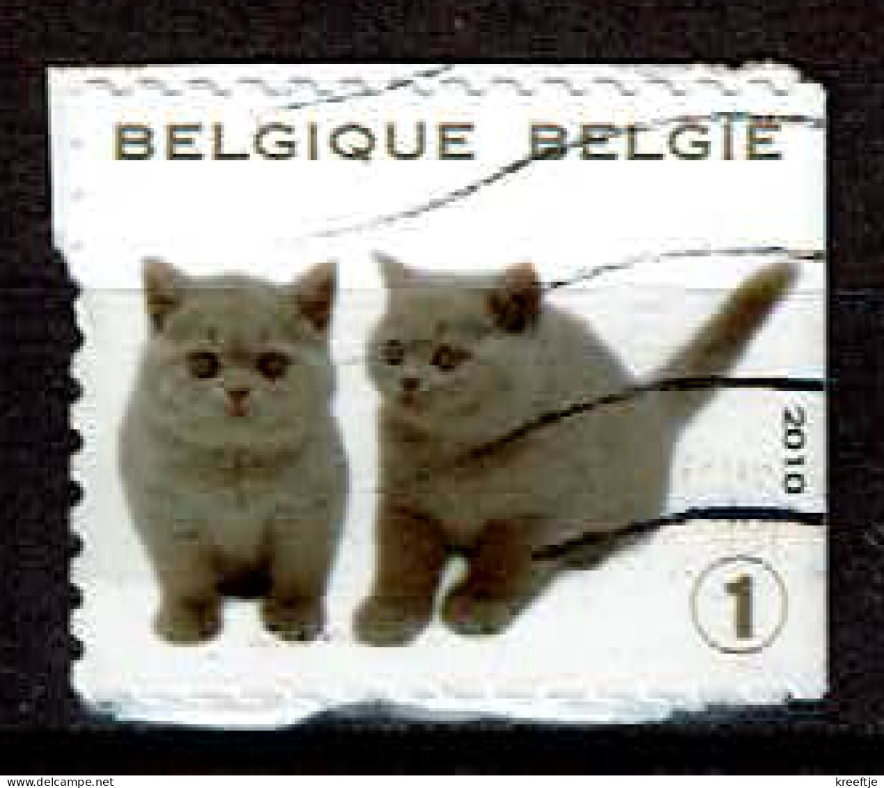 Kittens Uit 2010 (OBP 4011 ) - Oblitérés