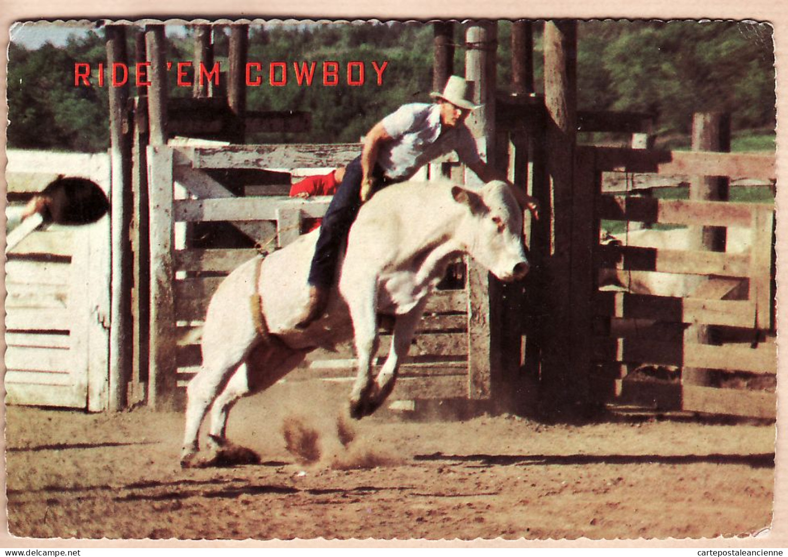 01679 / Western Rodeo Ride Em Coxboy 1970-1980s Published ASTROCARD HOUSTON TEXAS - Sonstige & Ohne Zuordnung