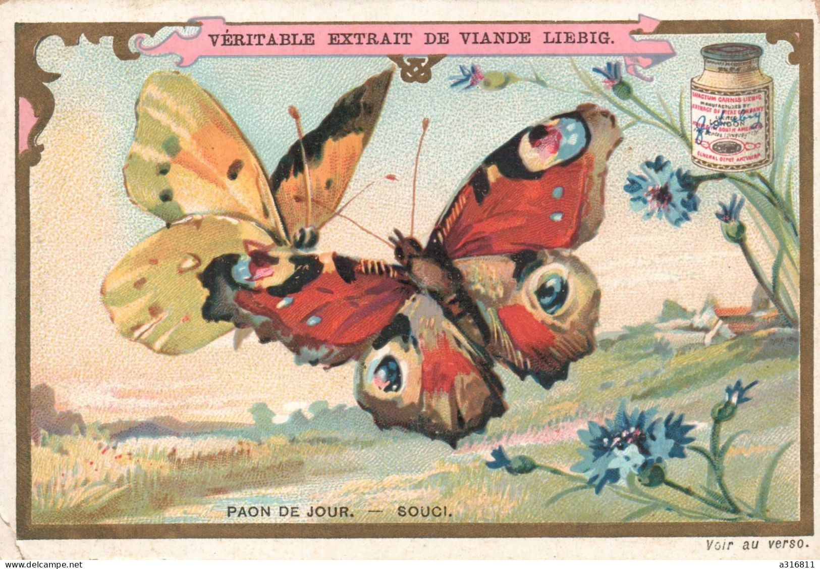 Liebig. Les Papillons, Le Paon De Jour - Souci. - Liebig