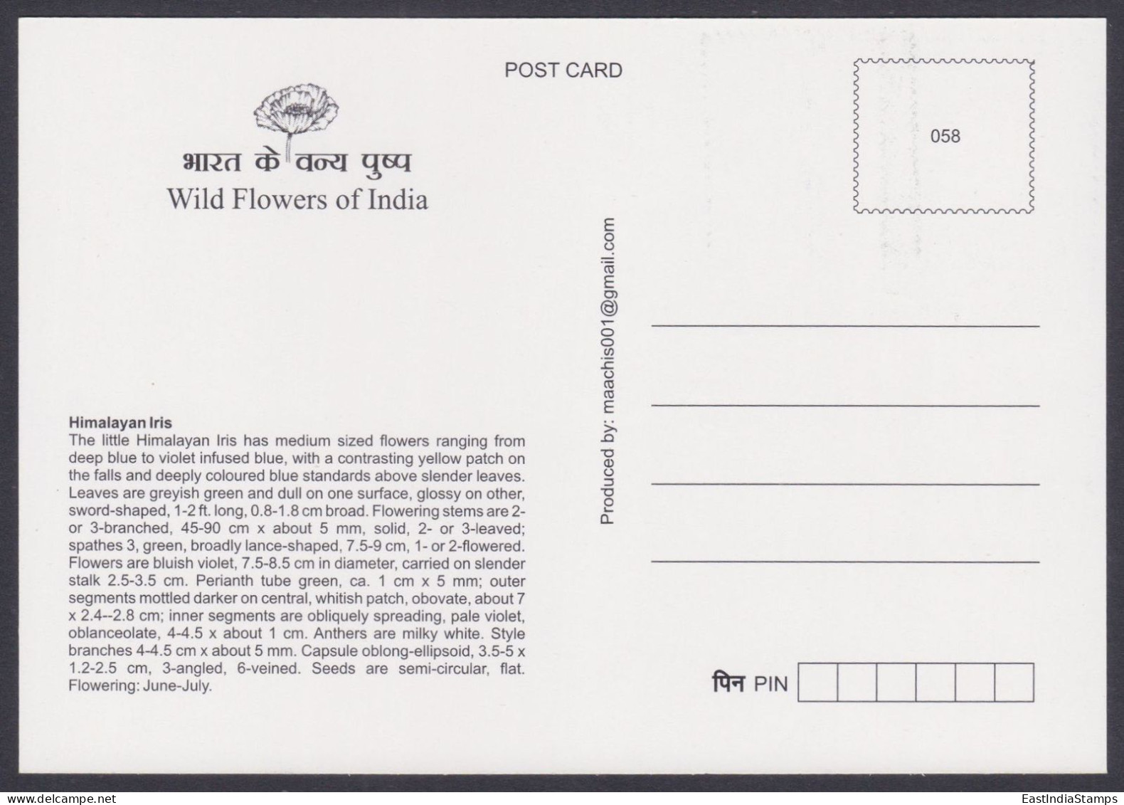 Inde India 2013 Maximum Max Card Himalayan Iris, Flower, Flowers, Flora - Covers & Documents