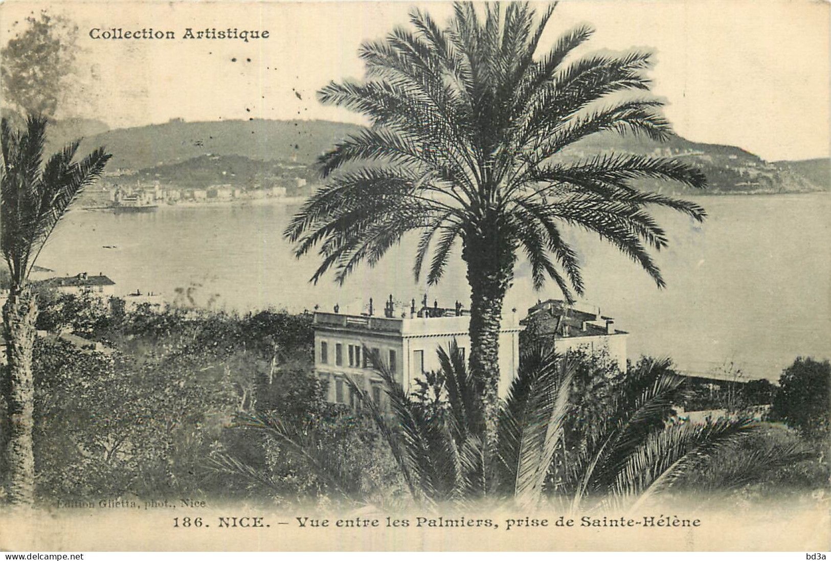 06 - NICE - VUE ENTRE LES PALMIERS - PRISE DE SAINTE HELENE - Andere & Zonder Classificatie