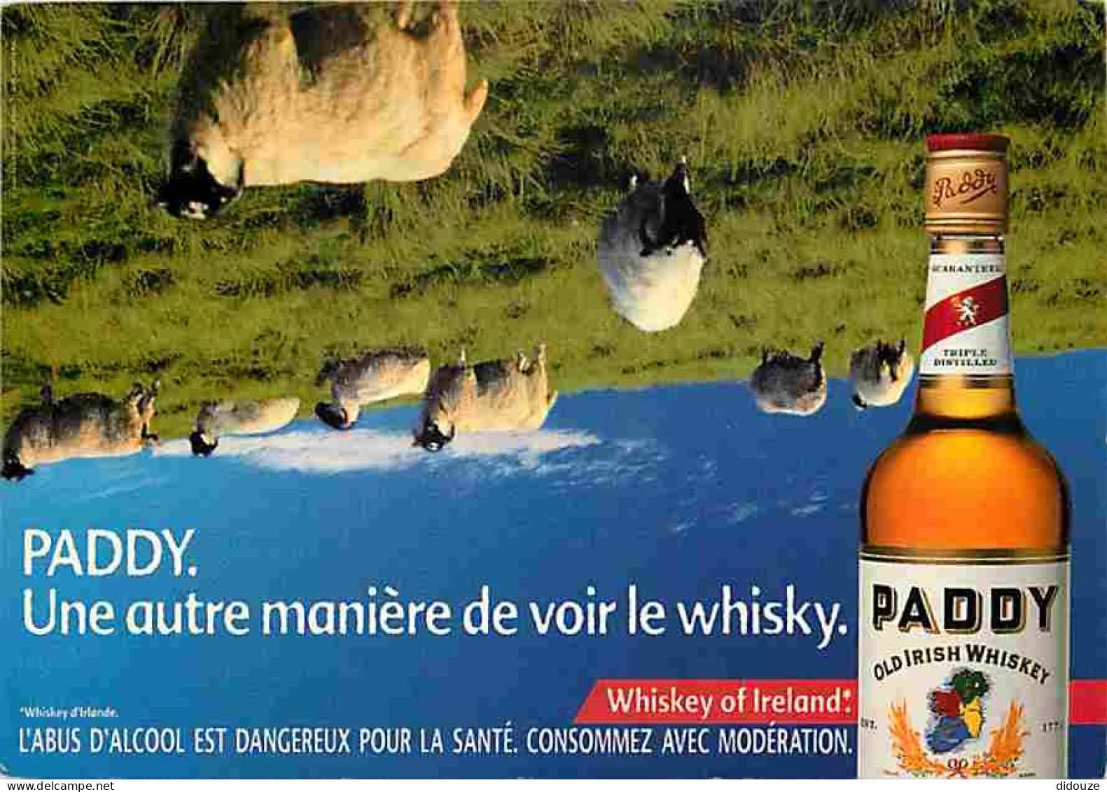 Publicite - Paddy - Old Irish Whiskey - Whisky Irlandais - Moutons - Irlande - Carte Neuve - CPM - Voir Scans Recto-Vers - Advertising