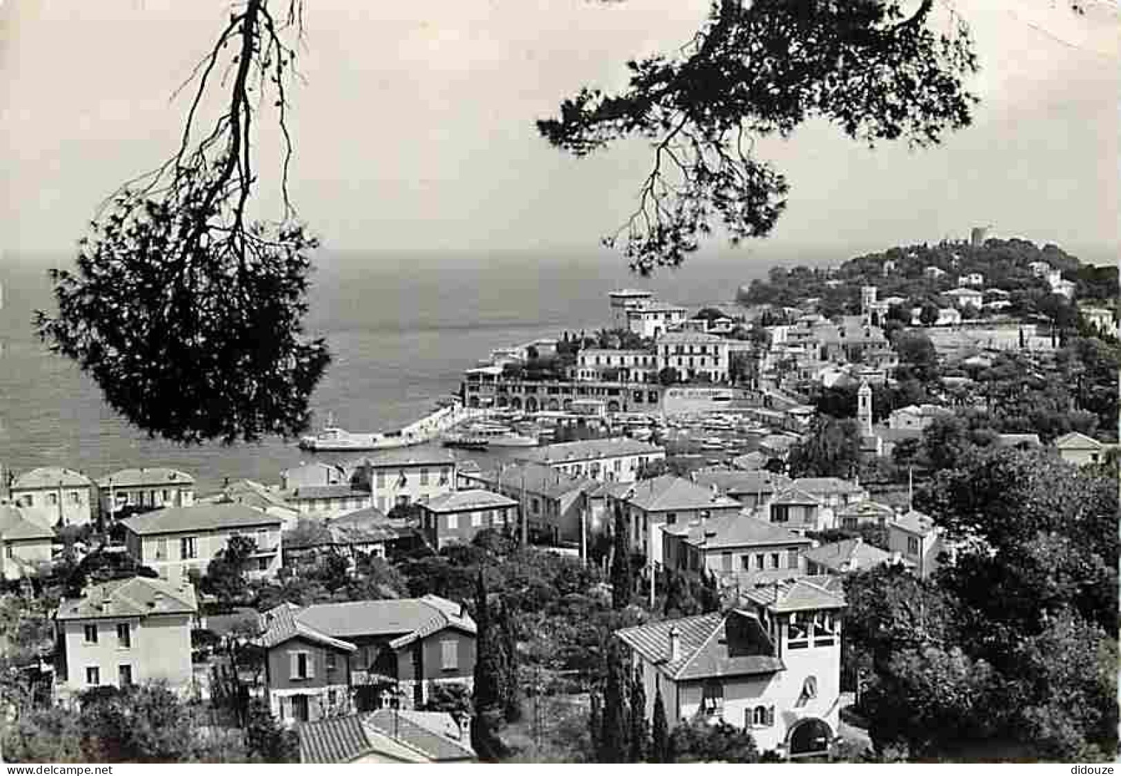 06 - Saint Jean Cap Ferrat - Vue Générale - CPM - Voir Scans Recto-Verso - Saint-Jean-Cap-Ferrat