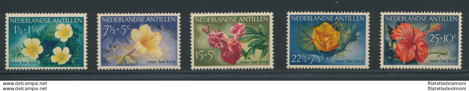 1955 Antille Olandesi - Fiori Diversi - Catalogo Yvert N. 236/40 - 5 Valori - MNH** - Other & Unclassified