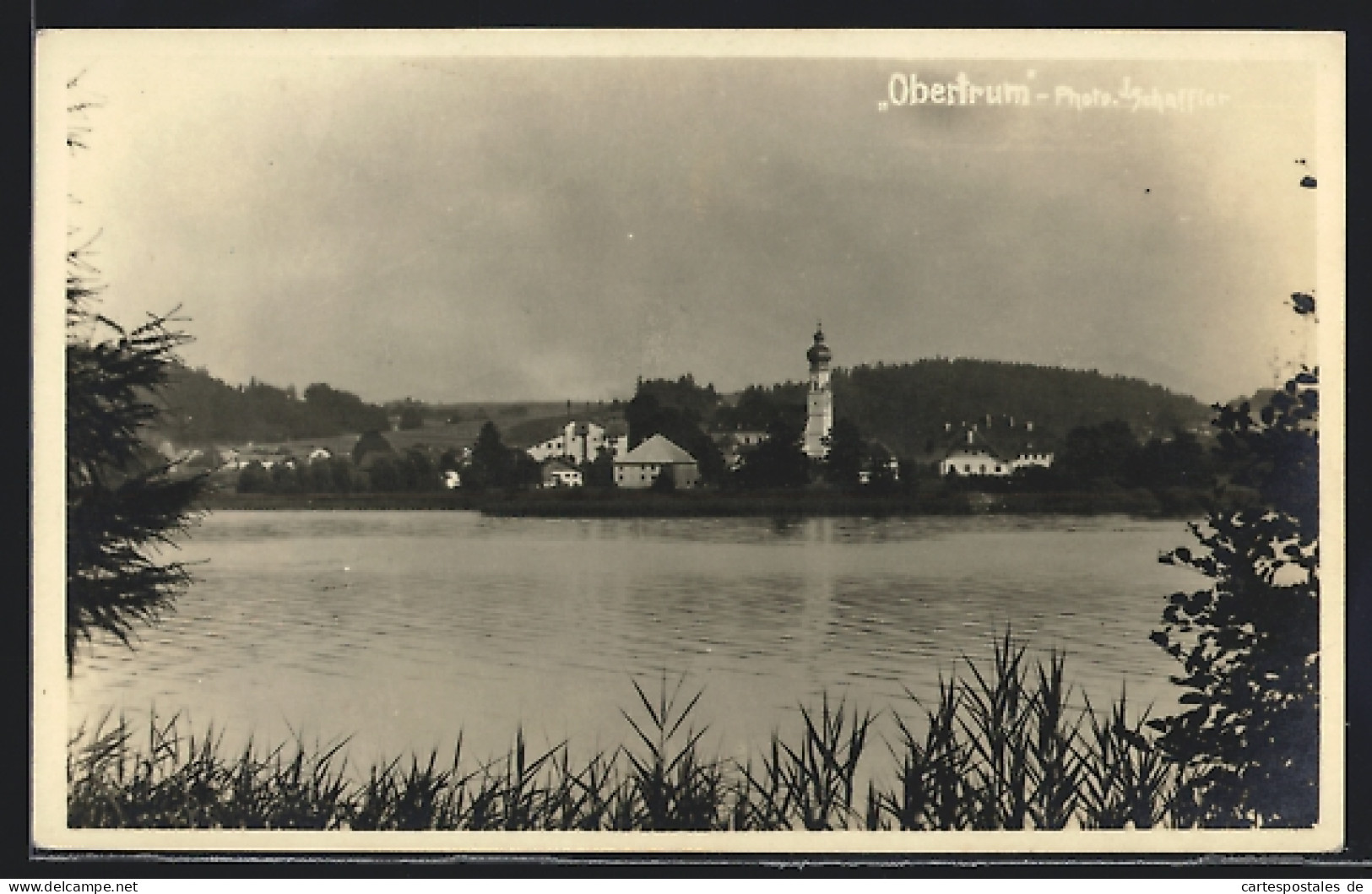 AK Obertrum, Schöner Blick Aus Dem Schilf Richtung Ort  - Autres & Non Classés