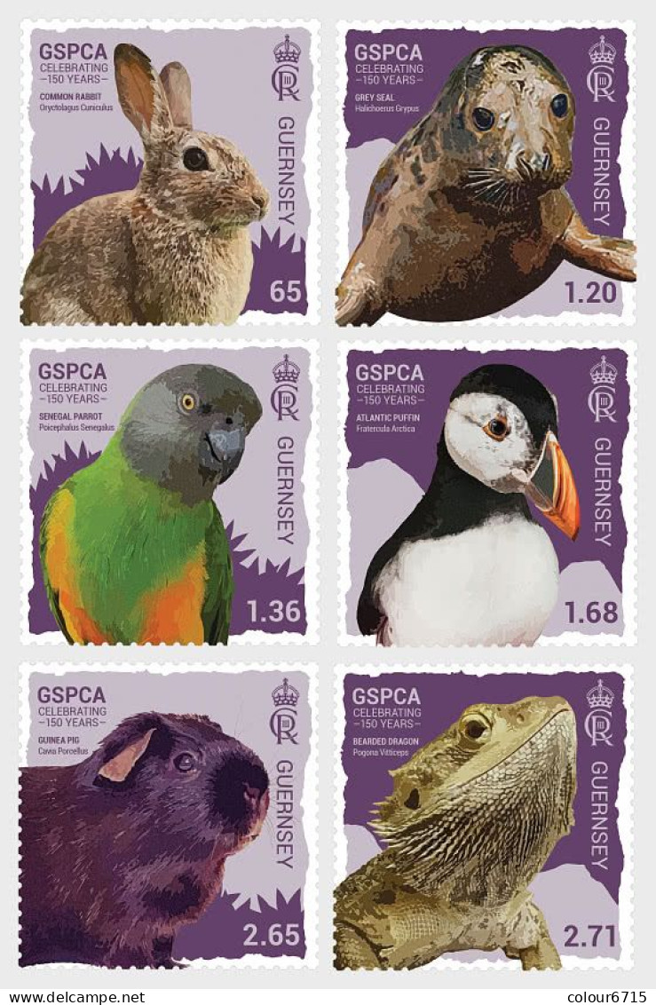 Guernsey 2024 The 150th Anniversary Of The GSPCA Stamps 6v MNH - Guernsey