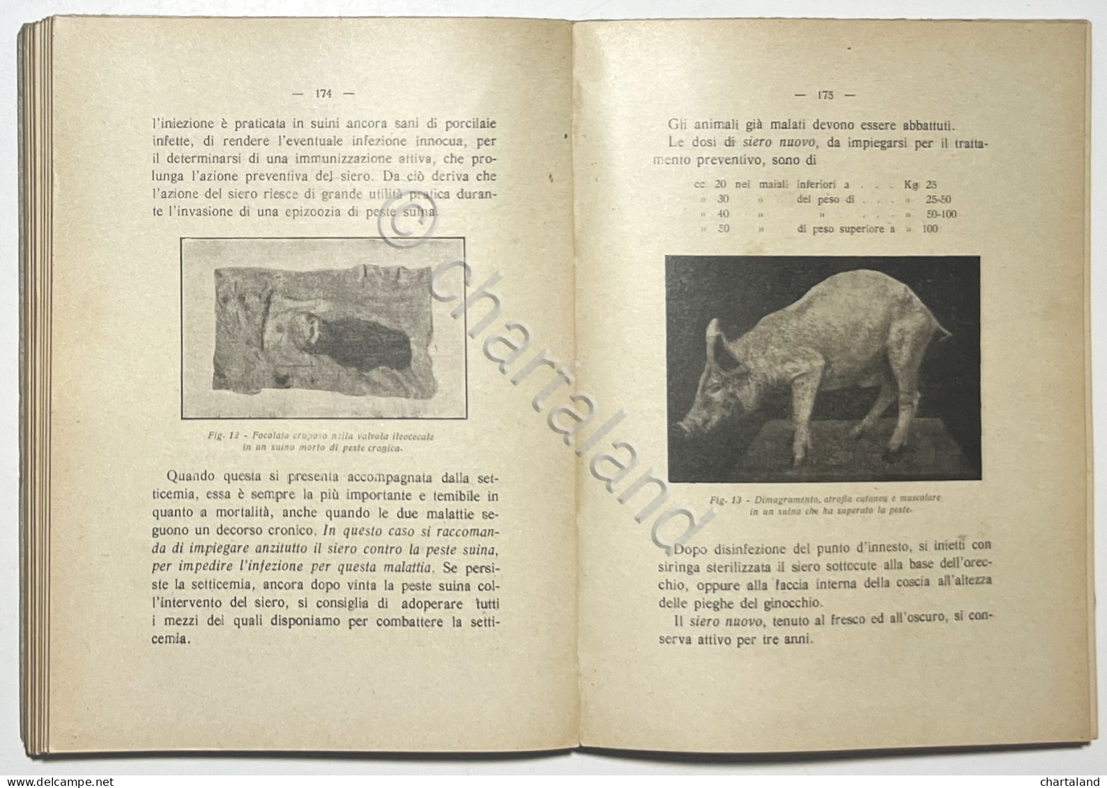 Istituto Sieroterapico - Dei Sieri E Vaccini Nella Medicina Veterinaria - 1924 - Autres & Non Classés