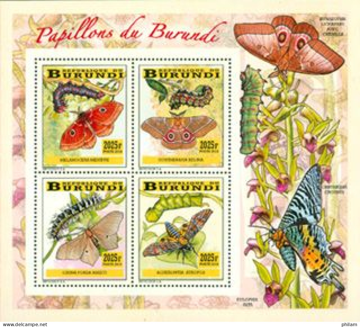 BURUNDI 2014 -  Chenilles Et Papillons - I - Bloc Collectif-2025 BIF - Schmetterlinge