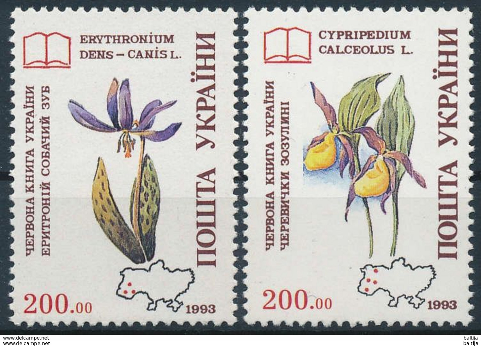 Ukraine, Mi 113-114 ** MNH / Plant, Flower, Orchid, Erythronium Dens-canis, Cypripedium Calceolus - Orchids