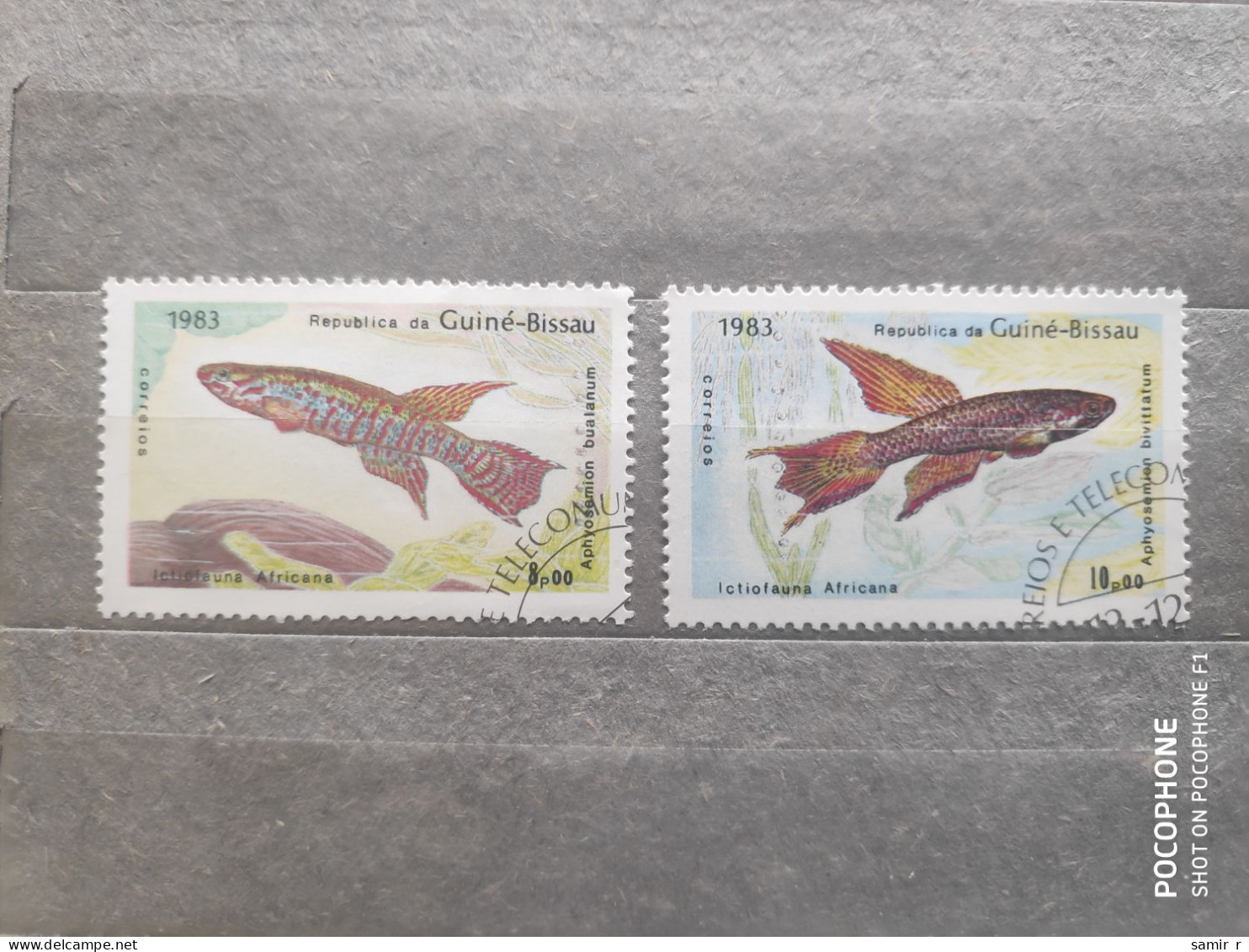 1983	Guinea	Fishes (F97) - Guinea (1958-...)