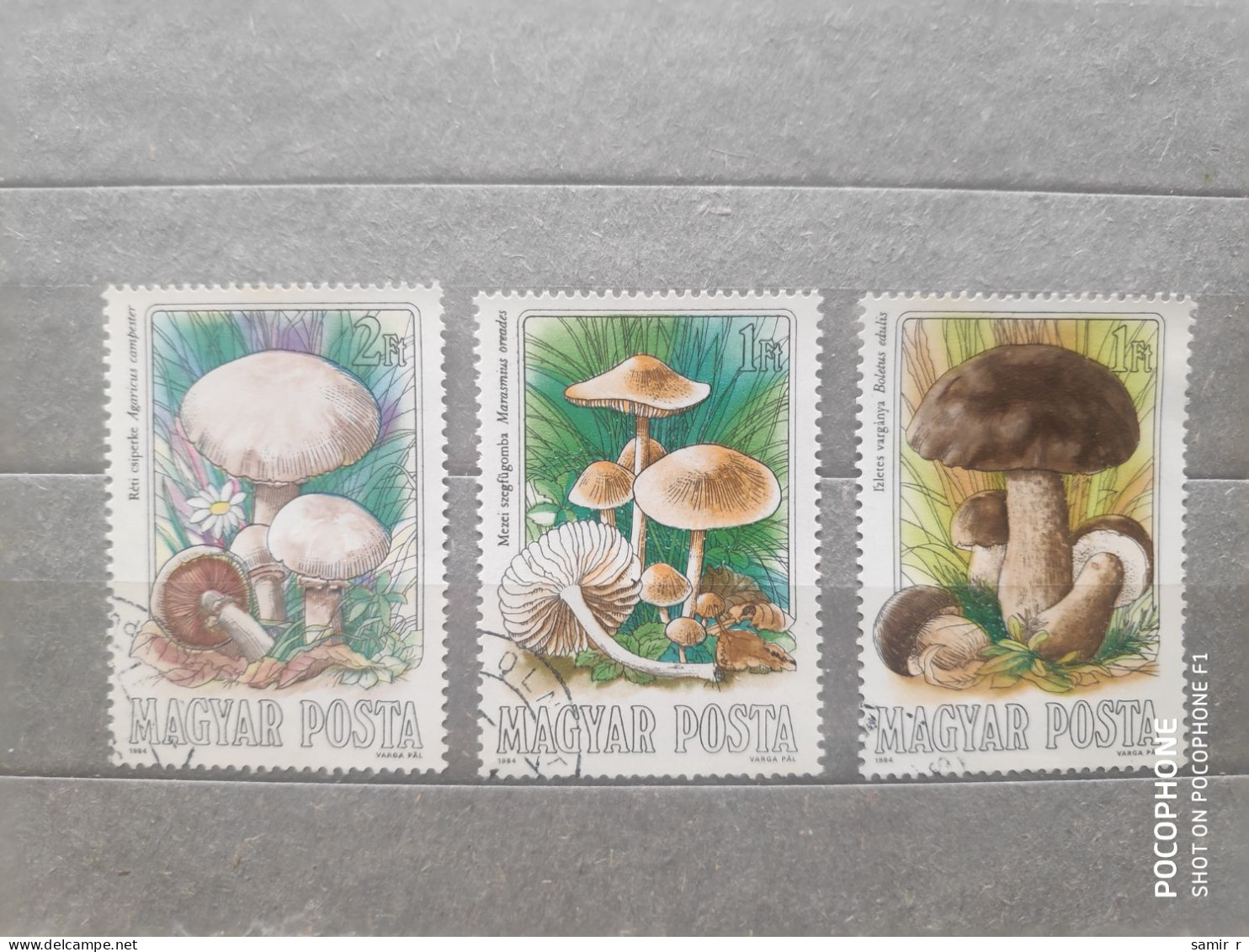 1984	Hungary	Mushrooms (F97) - Used Stamps