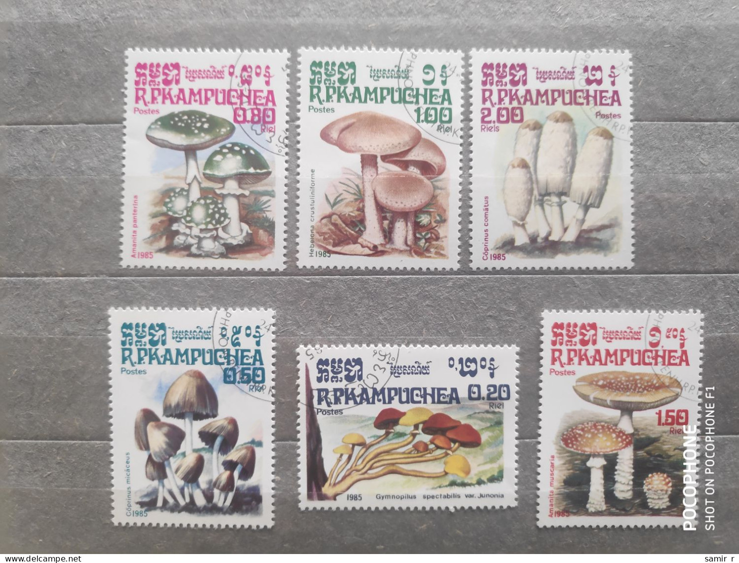 1985	Kampuchea	Mushrooms (F97) - Kampuchea
