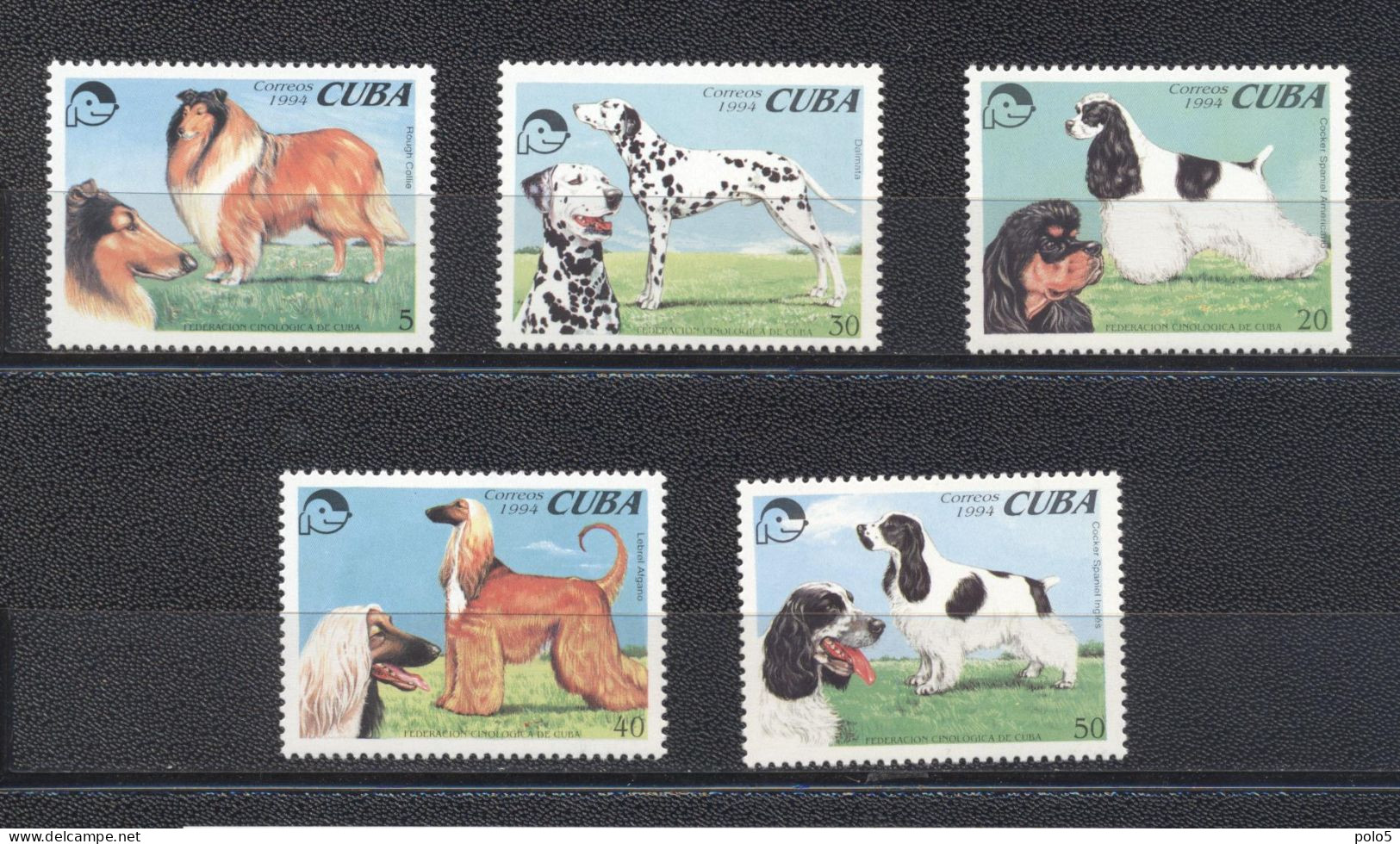 Cuba 1994- Dogs Set (5v) - Unused Stamps