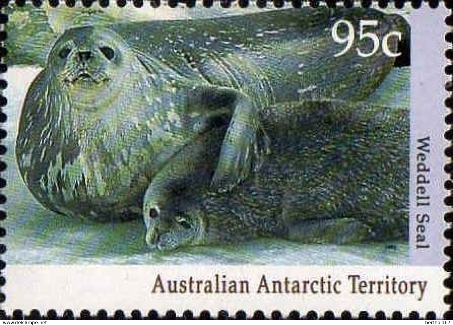 Antarctique Aust Poste N** Yv: 90/94 Faune Antarctique - Unused Stamps