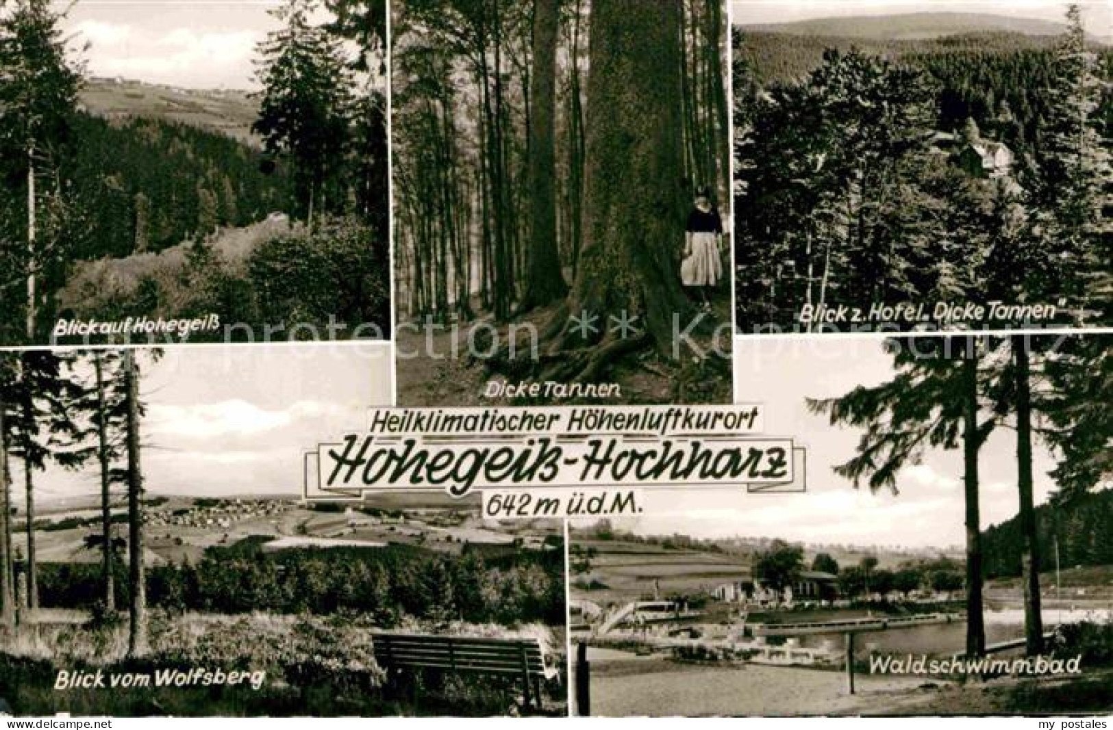 72843424 Hohegeiss Harz Wolfsberg Waldschwimmbad Hotel Dicke Tannen Hohegeiss - Andere & Zonder Classificatie