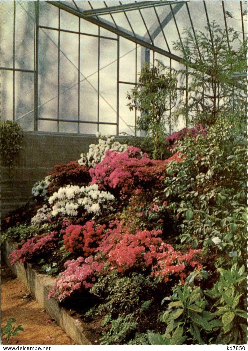 Hamburg - Intern. Gartenbau-Ausstellung Hamburg 1963 - Andere & Zonder Classificatie