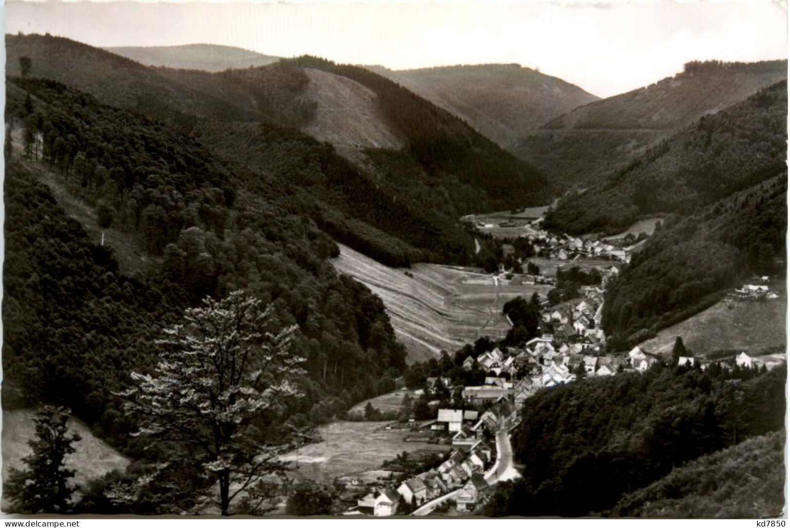 Sieber Im Harz, Blick Vom Lilienberg - Herzberg