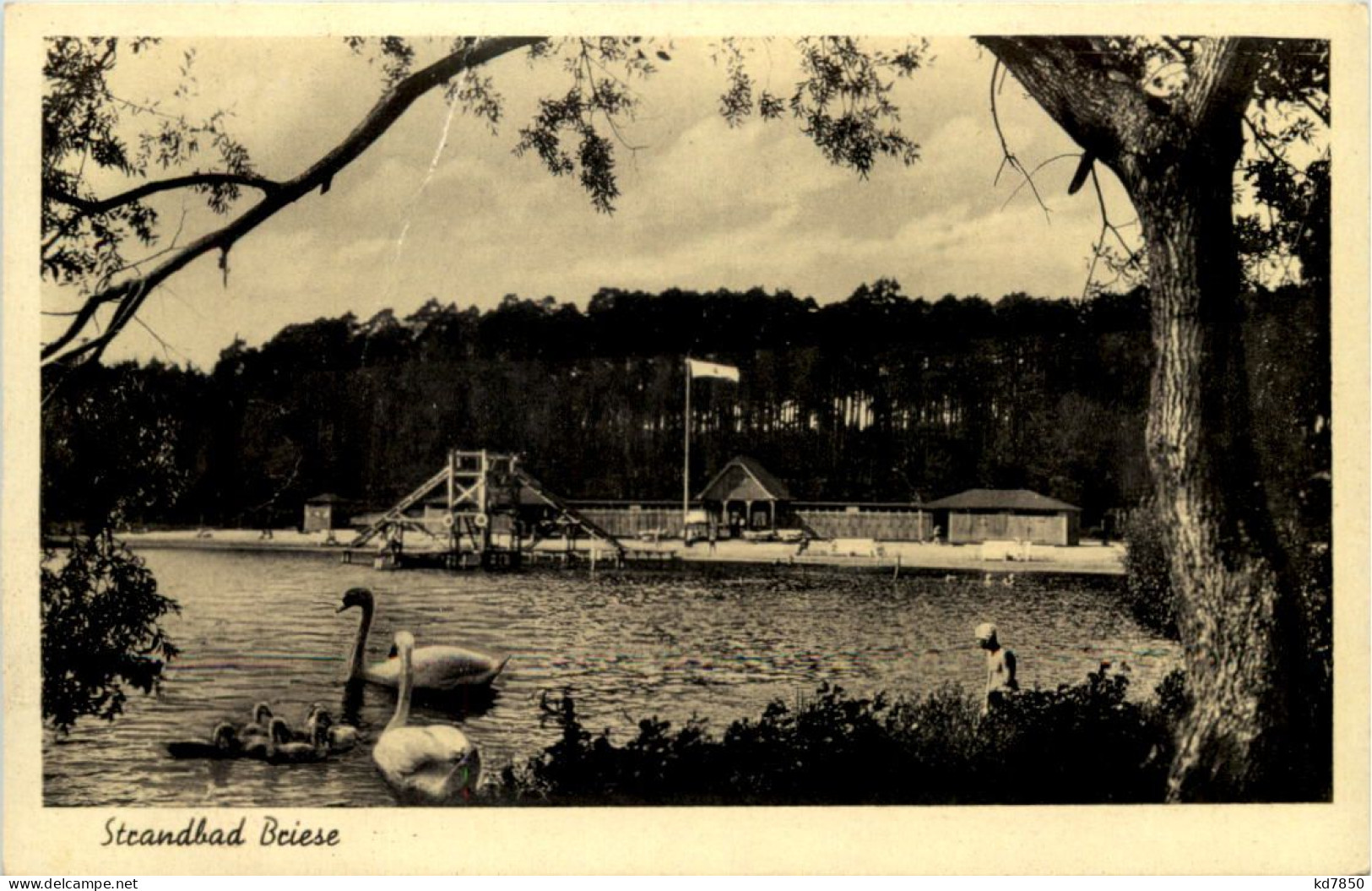 Strandbad Briese - Sonstige & Ohne Zuordnung