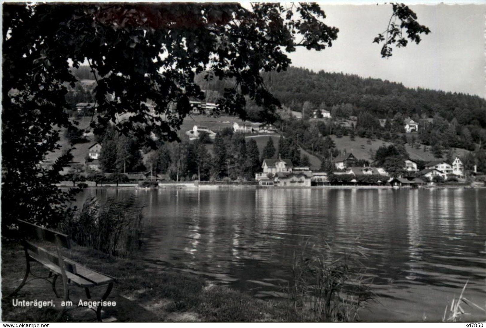 Unterägeri, Am Aegerisee - Unterägeri