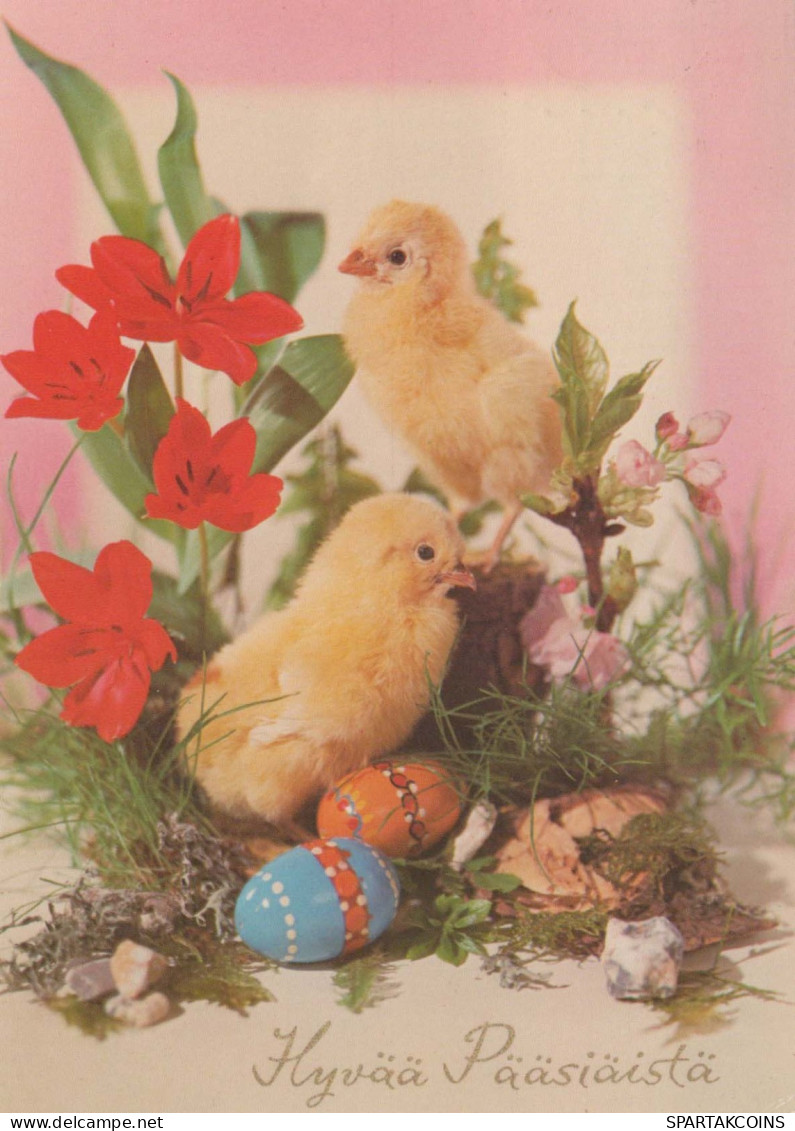 OSTERN HUHN EI Vintage Ansichtskarte Postkarte CPSM #PBP232.DE - Ostern