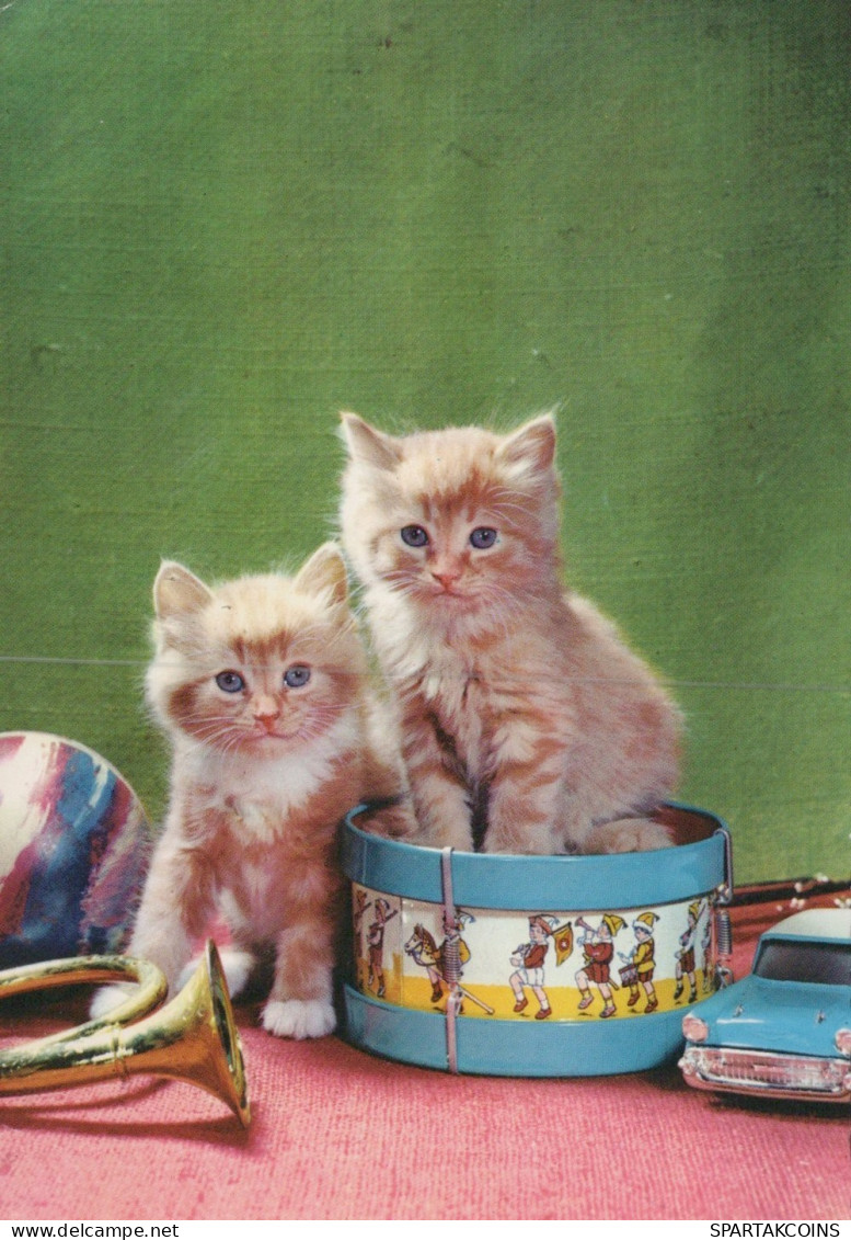 CHAT CHAT Animaux Vintage Carte Postale CPSM #PAM297.FR - Cats