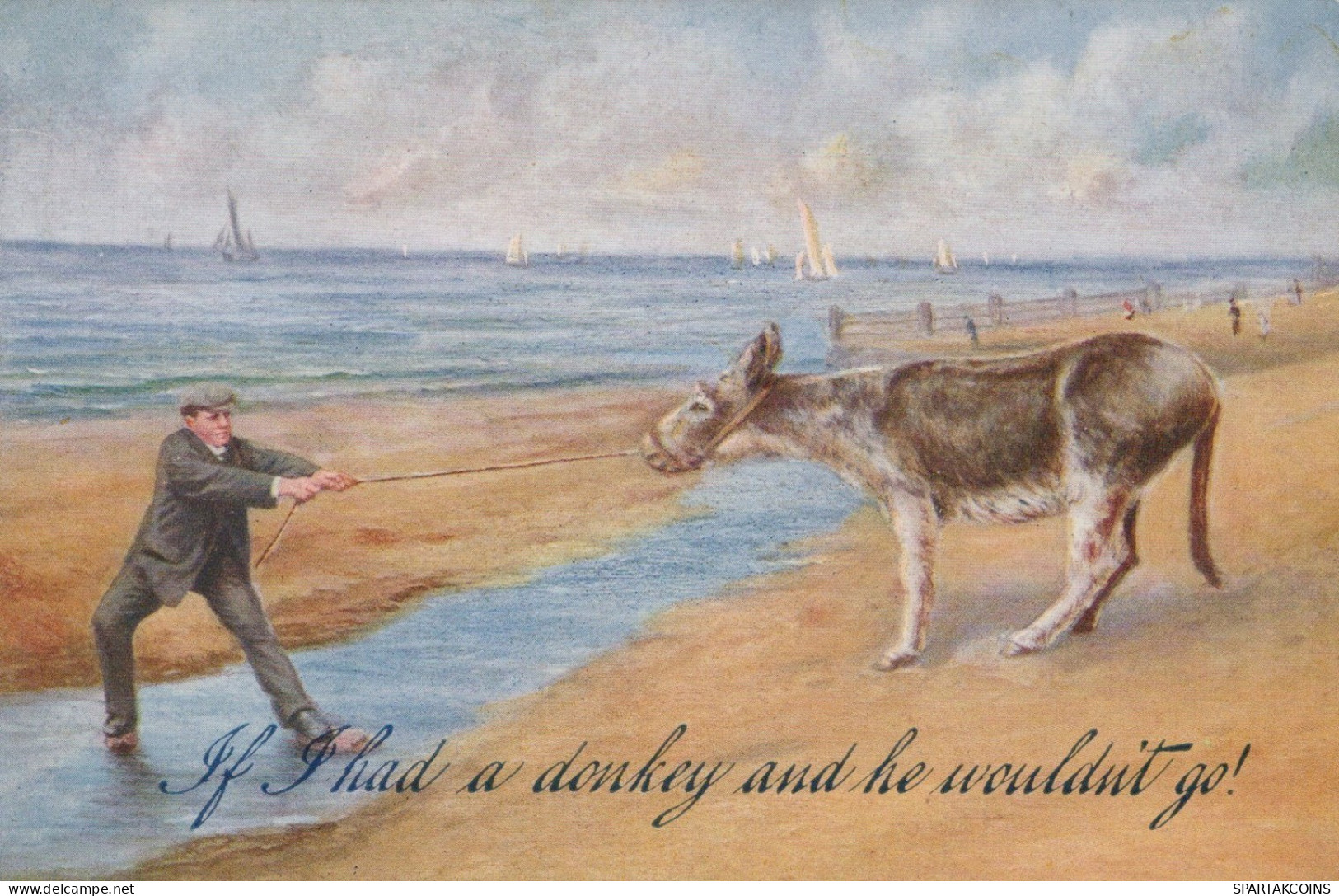 DONKEY Animals Vintage Antique Old CPA Postcard #PAA319.GB - Anes