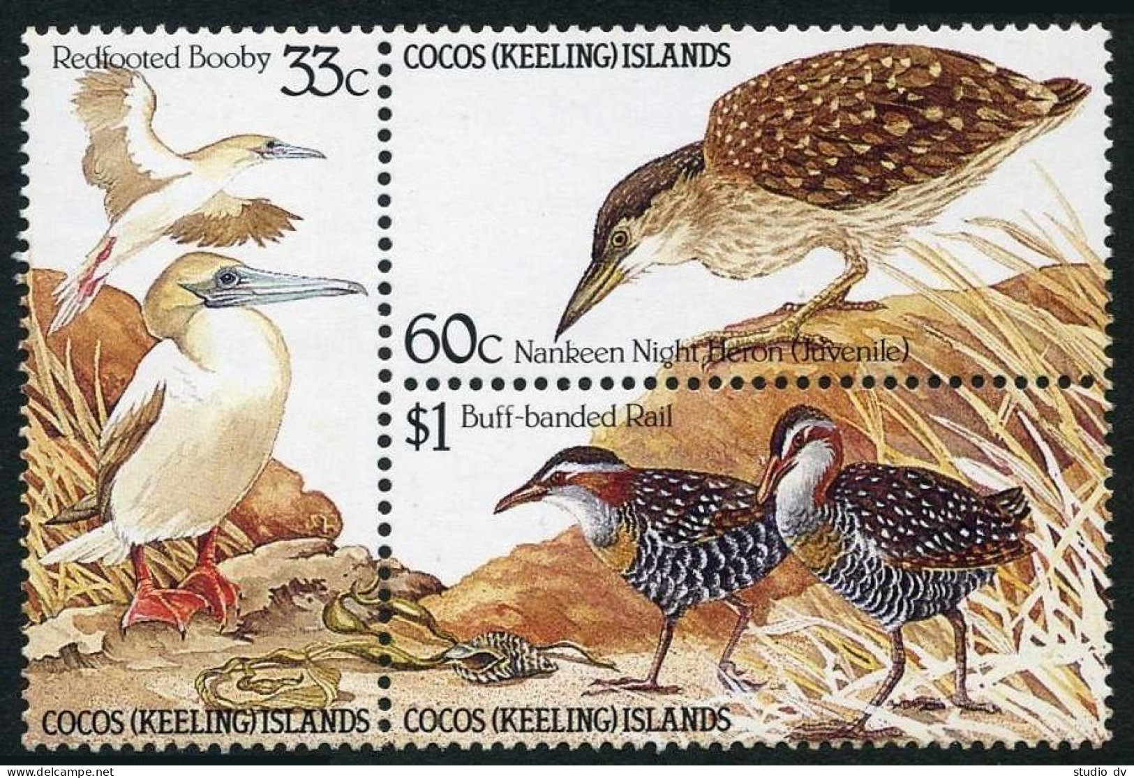 Cocos Isls 132-134a Block, MNH. Mi 137-139. Birds 1985. Booby, Night Heron,Rail. - Cocos (Keeling) Islands