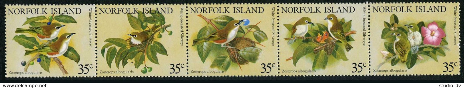 Norfolk 287 Ae Strip, MNH. Michel 271-275. Birds 1981. White-breasted Silver Eye - Norfolkinsel