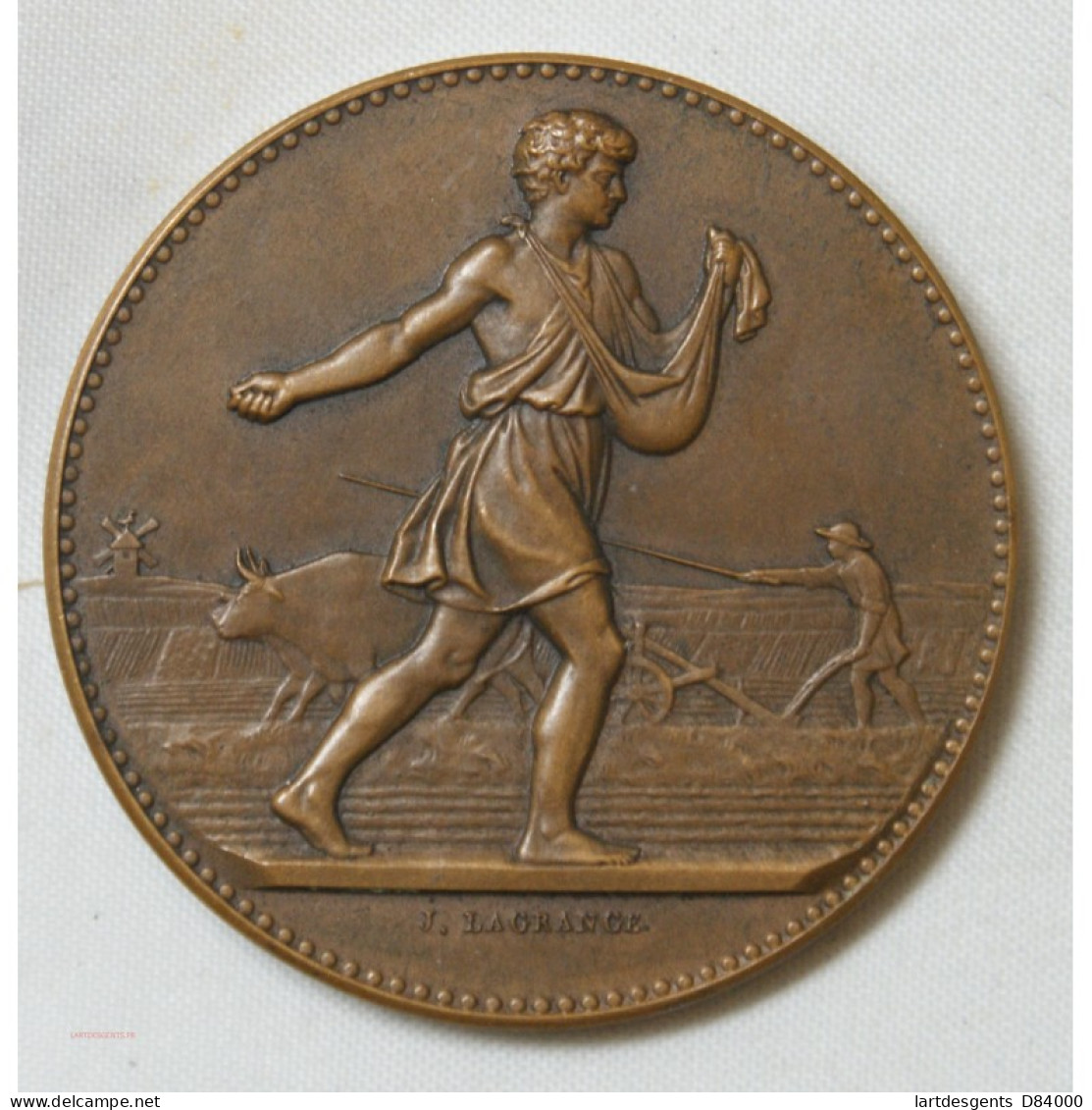 Médaille Agriculture D' Alais Et Cevennes Par Lagrange - Professionali / Di Società
