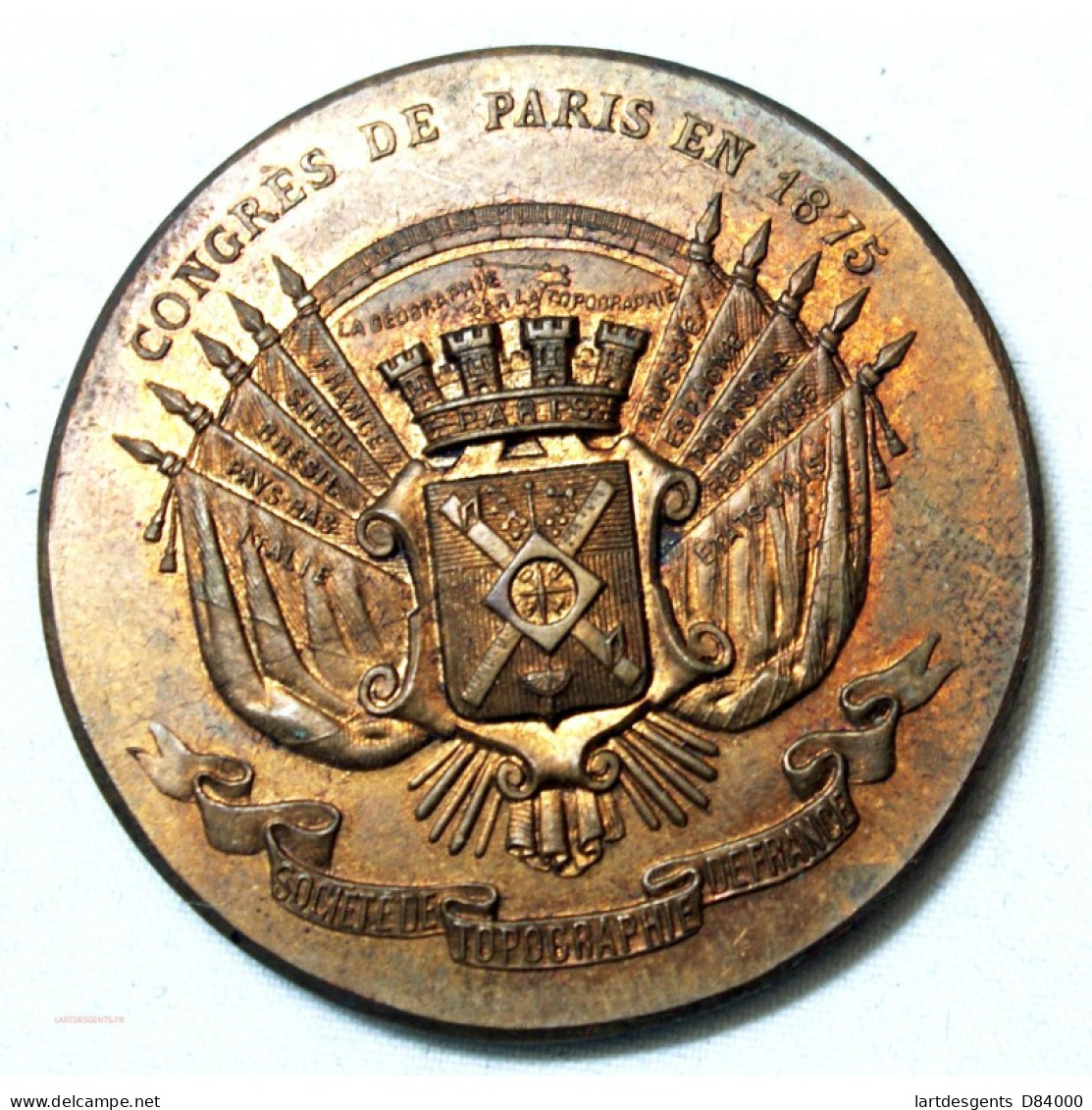 Médaille Congrès De Paris 1875, Topographie De France Bronze 35.4grs - Professionali / Di Società