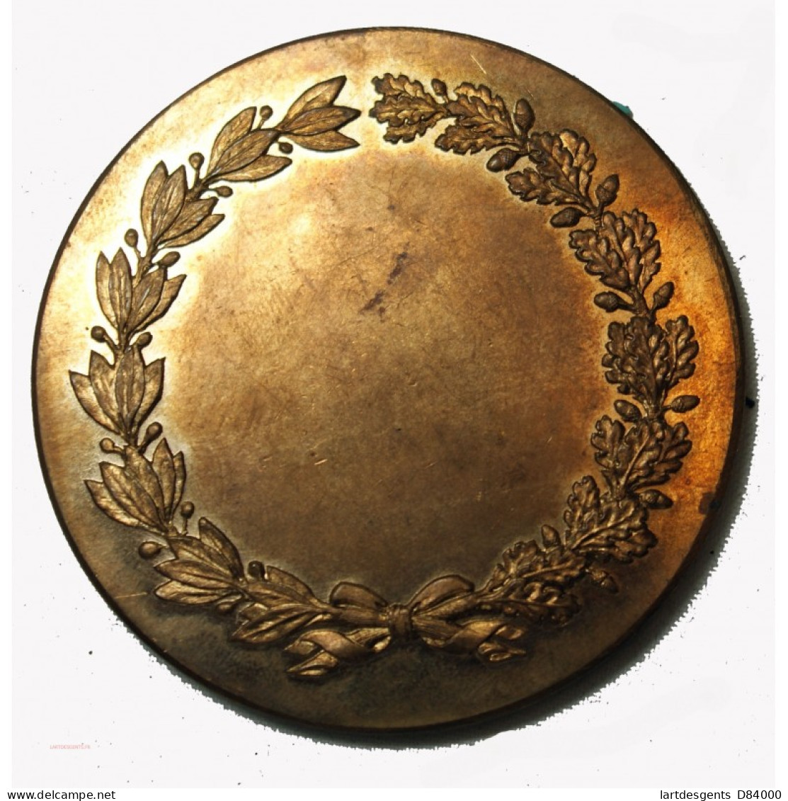 Médaille Congrès De Paris 1875, Topographie De France Bronze 60grs - Professionnels / De Société