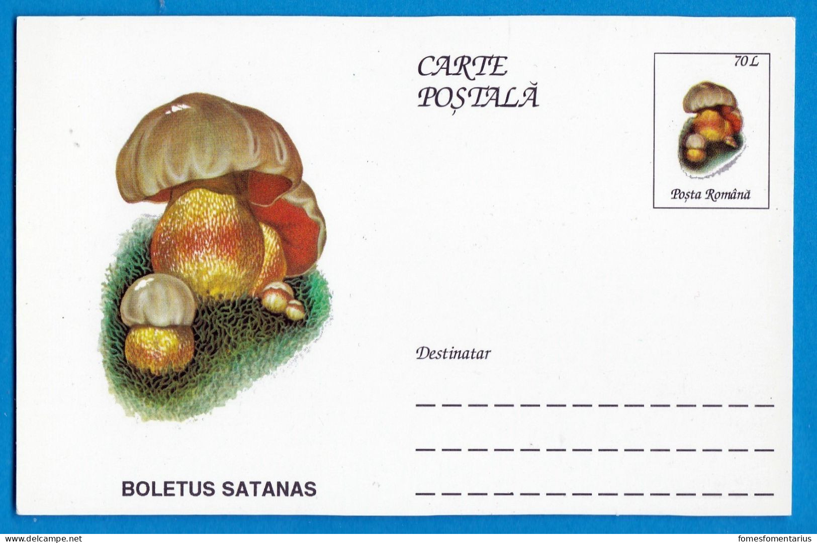 Entier Postal Neuf Roumain édition Luxe Glacé Brillant N° 085 Série 891/1000 Champignon  Mushroom Champignons Pilze - Mushrooms