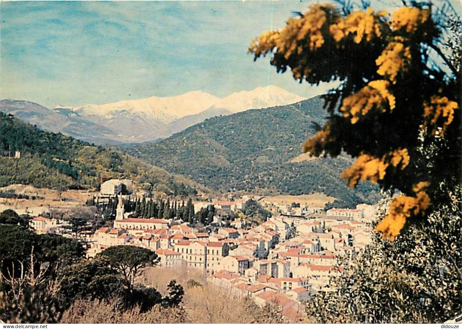 66 - Amélie Les Bains - Vue Générale - Au Fond Le Canigou - CPM - Voir Scans Recto-Verso - Sonstige & Ohne Zuordnung